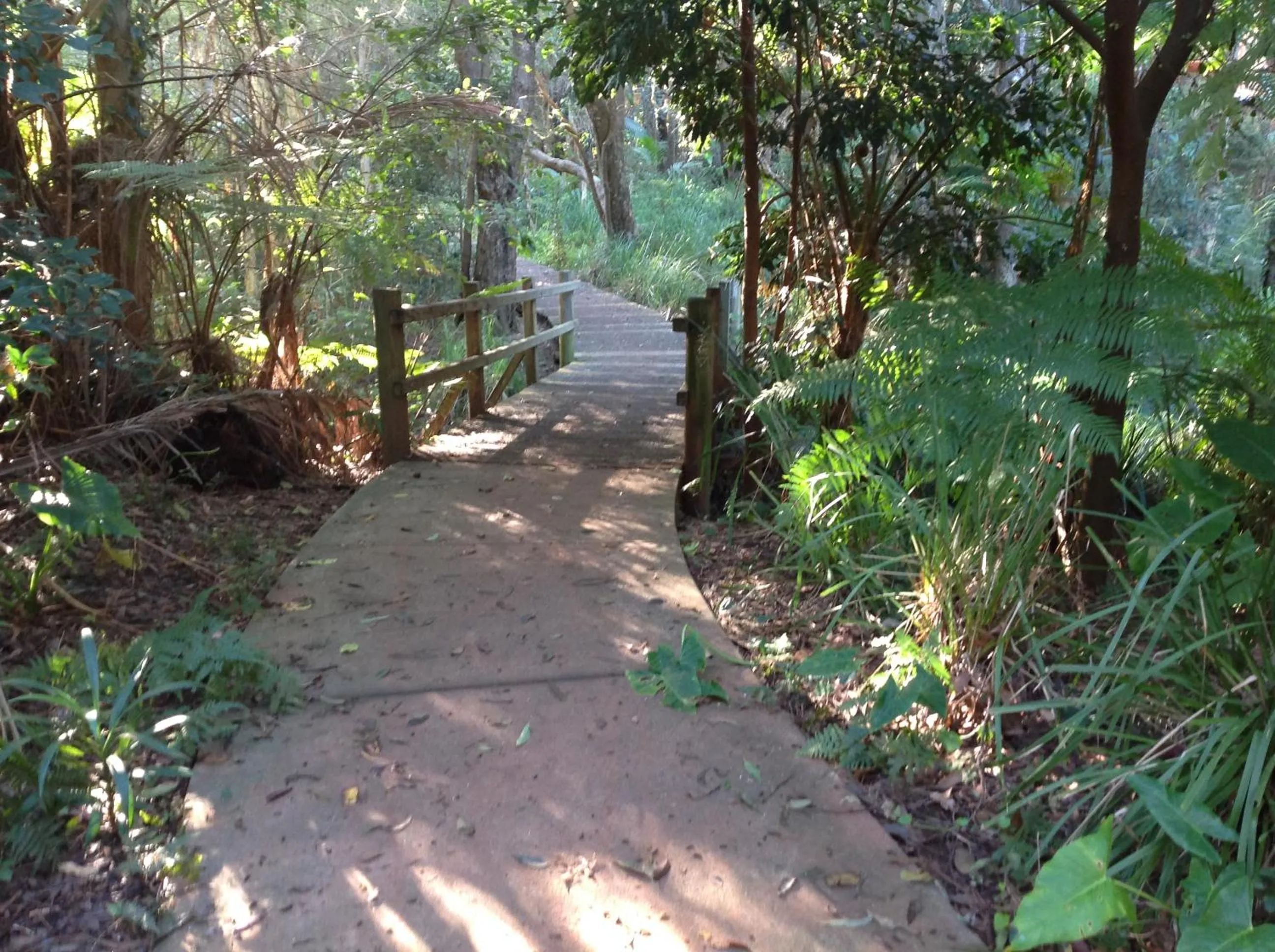 Natural landscape in Strathmore Lodge