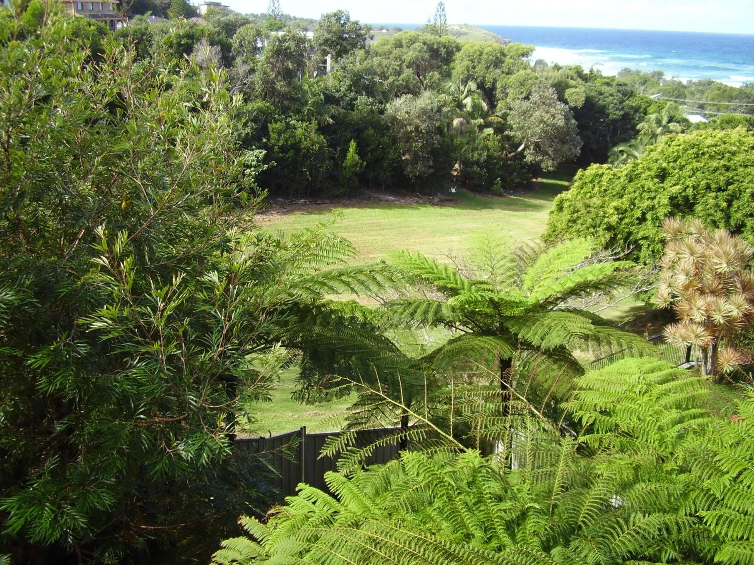 Garden in Strathmore Lodge