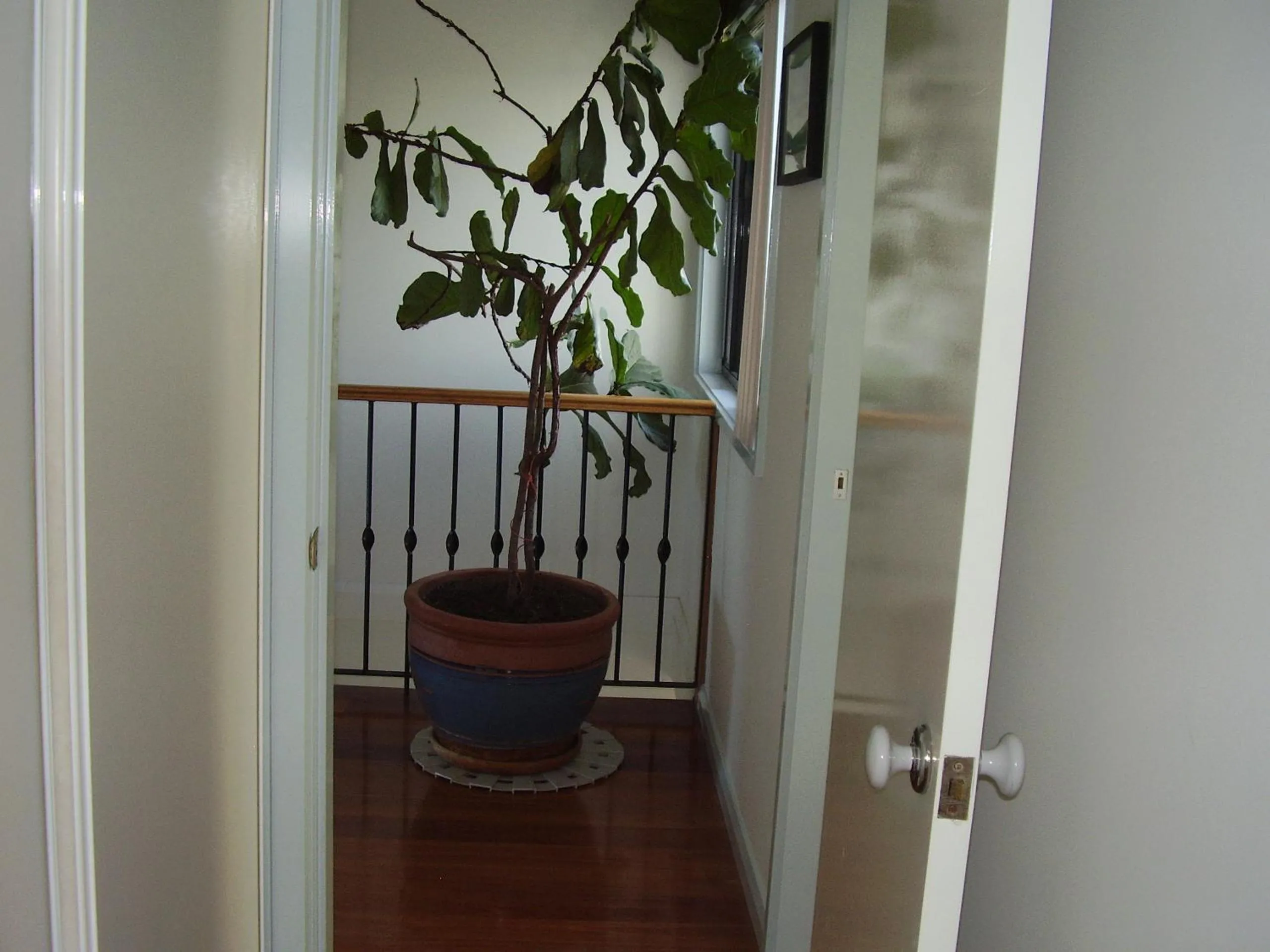 Decorative detail in Strathmore Lodge