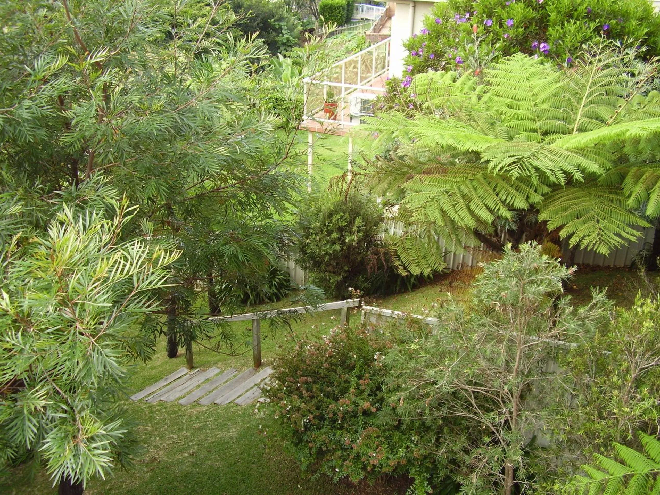 Garden in Strathmore Lodge