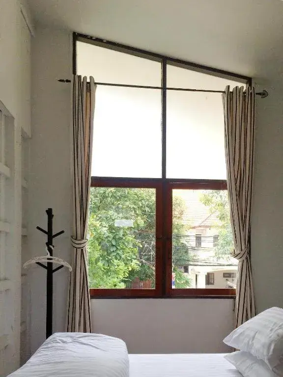 Many Trees Many Trees