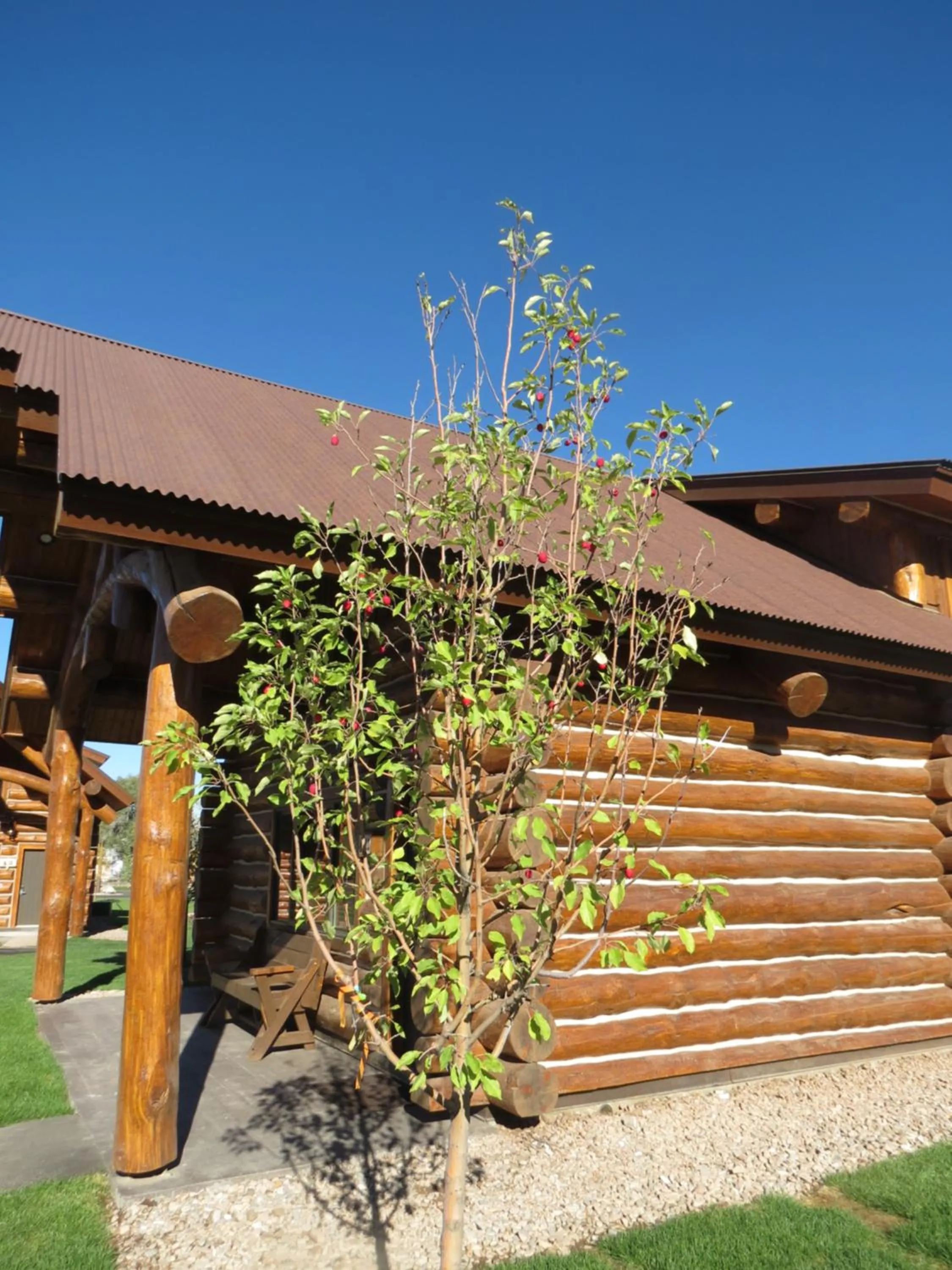 Decorative detail in Kodiak Mountain Resort