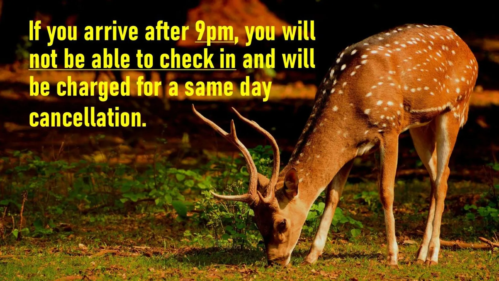 Nara Guesthouse Kamunabi