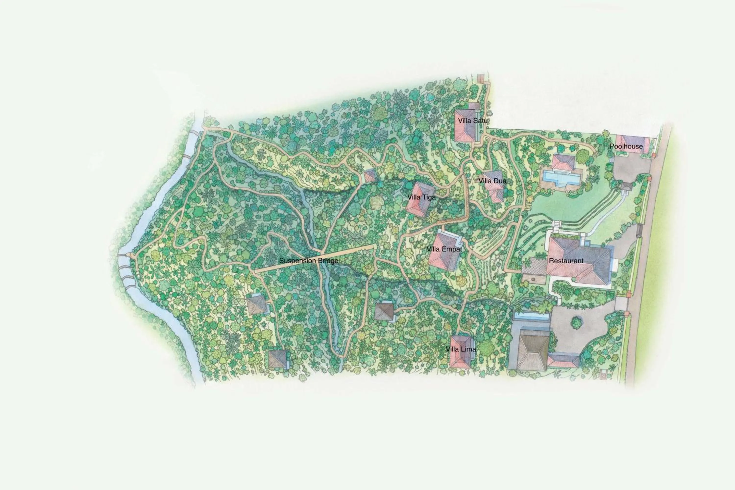 Bird's eye view in Alassari Plantation