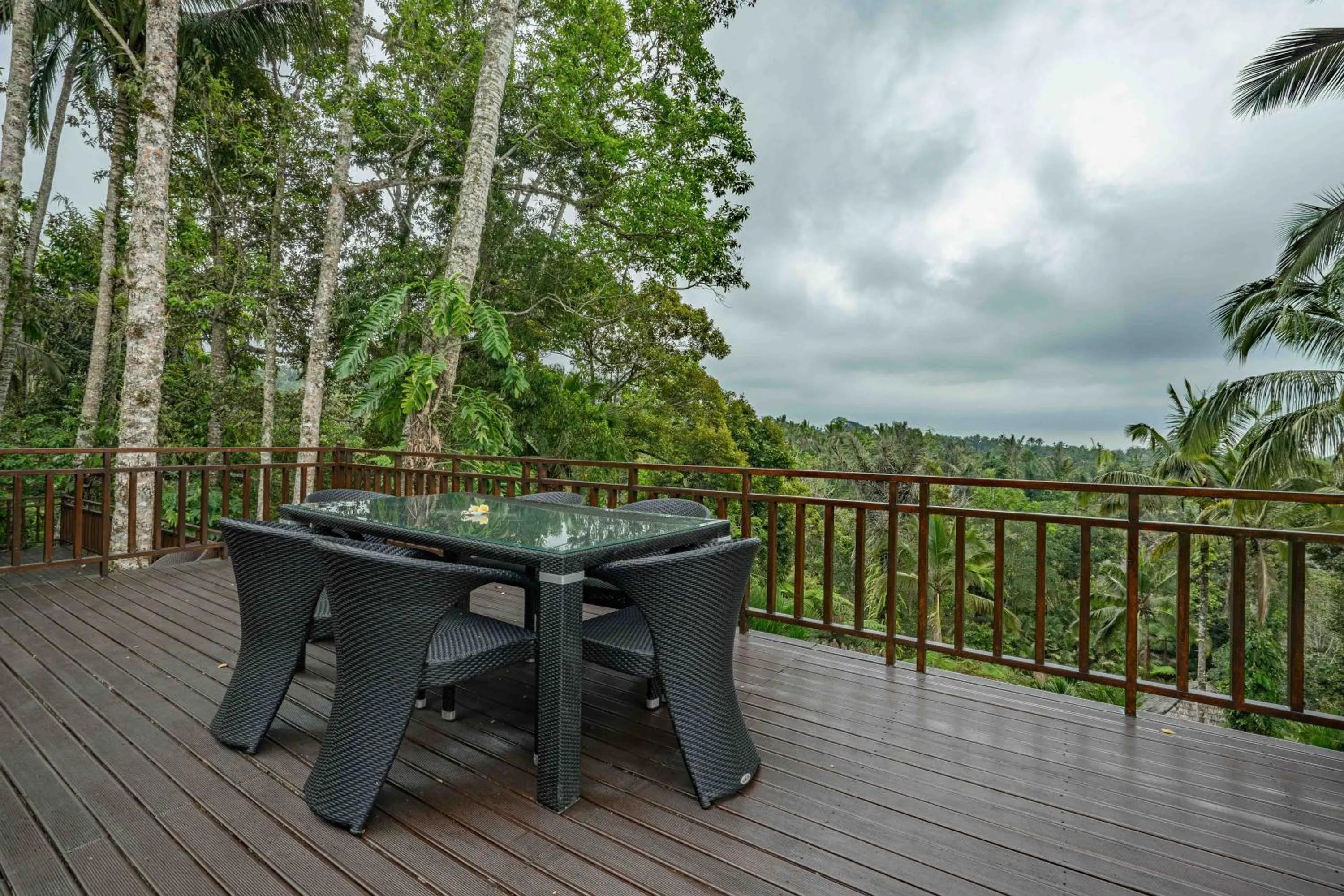 Day in Alassari Plantation