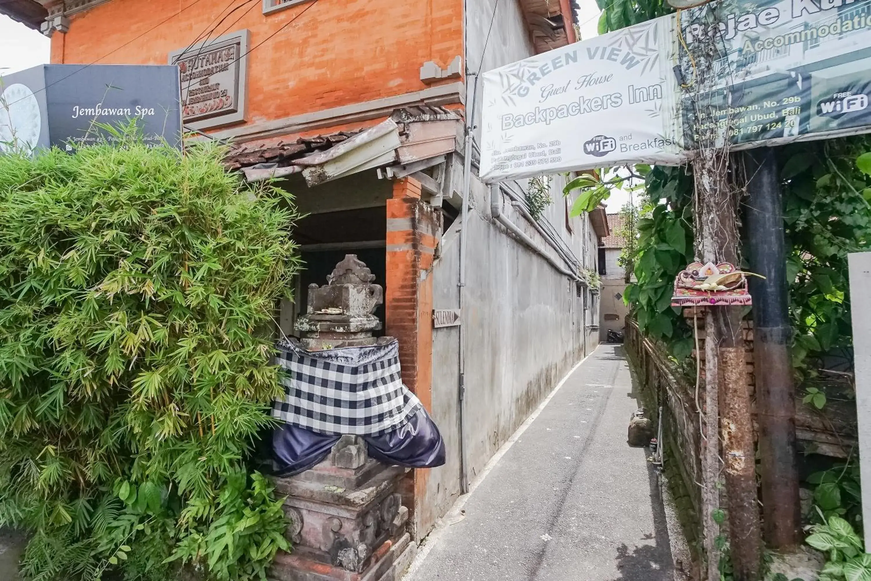 Property building in Green View Ubud Hostel Bali Property building in Green View Ubud Hostel Bali