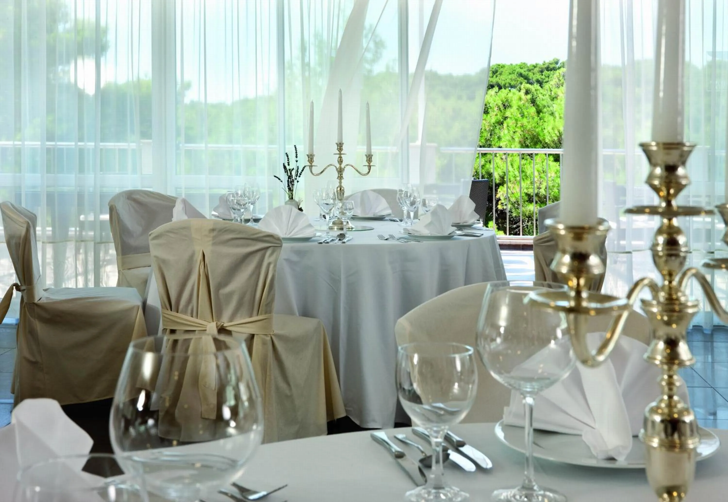 Area and facilities in Hotel Aurora