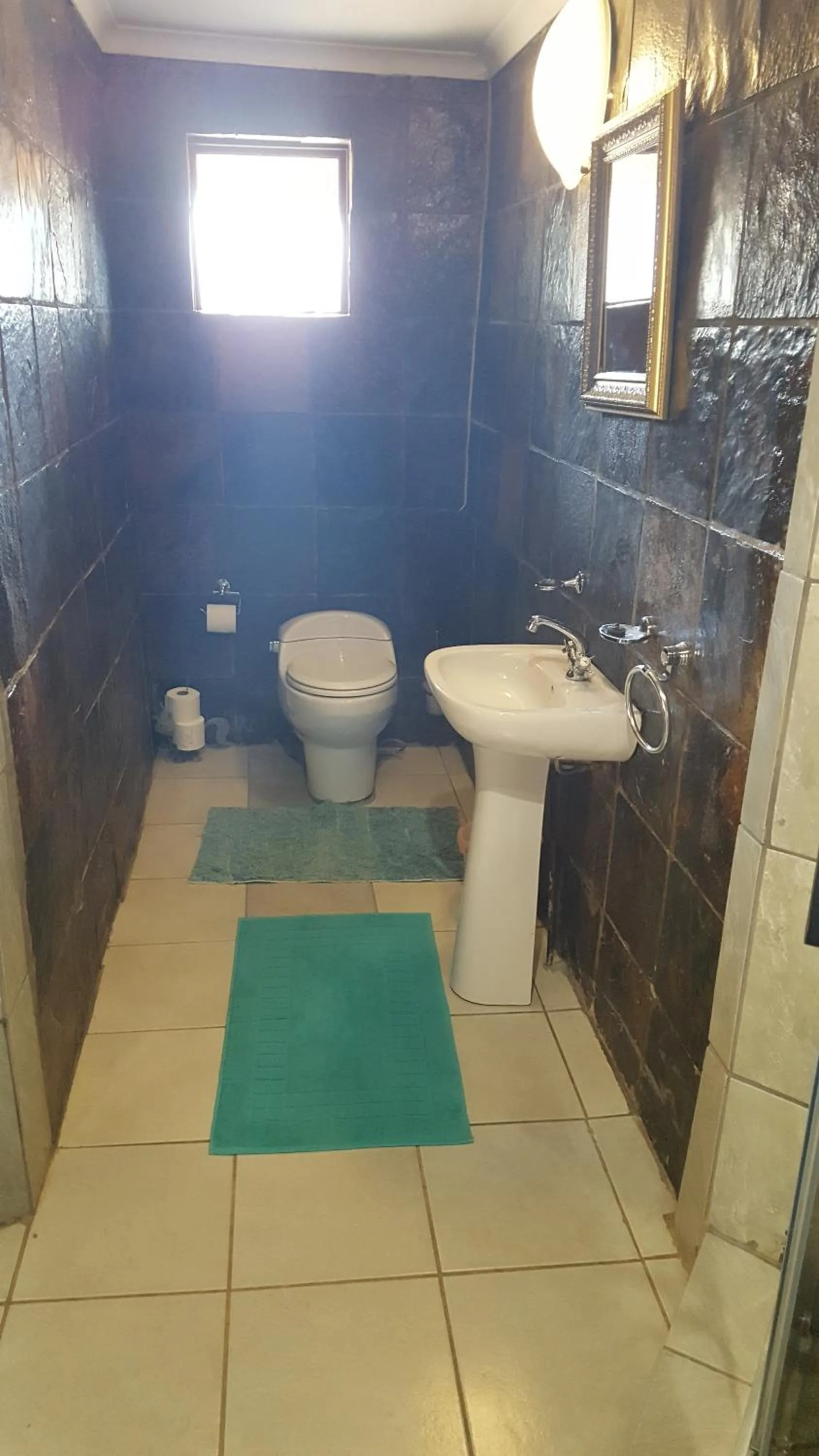 Toilet in ConcordiaVOC