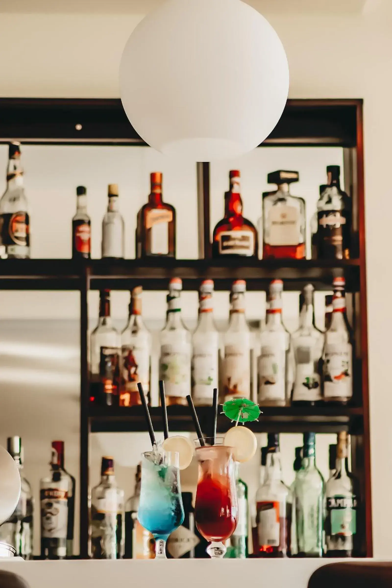 Lounge or bar, Drinks in Hotel Bozica Dubrovnik Islands