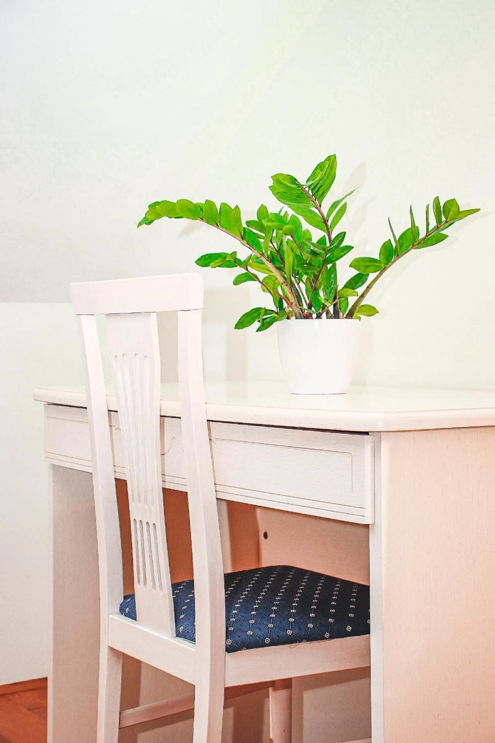 Property building in Hotel Bozica Dubrovnik Islands