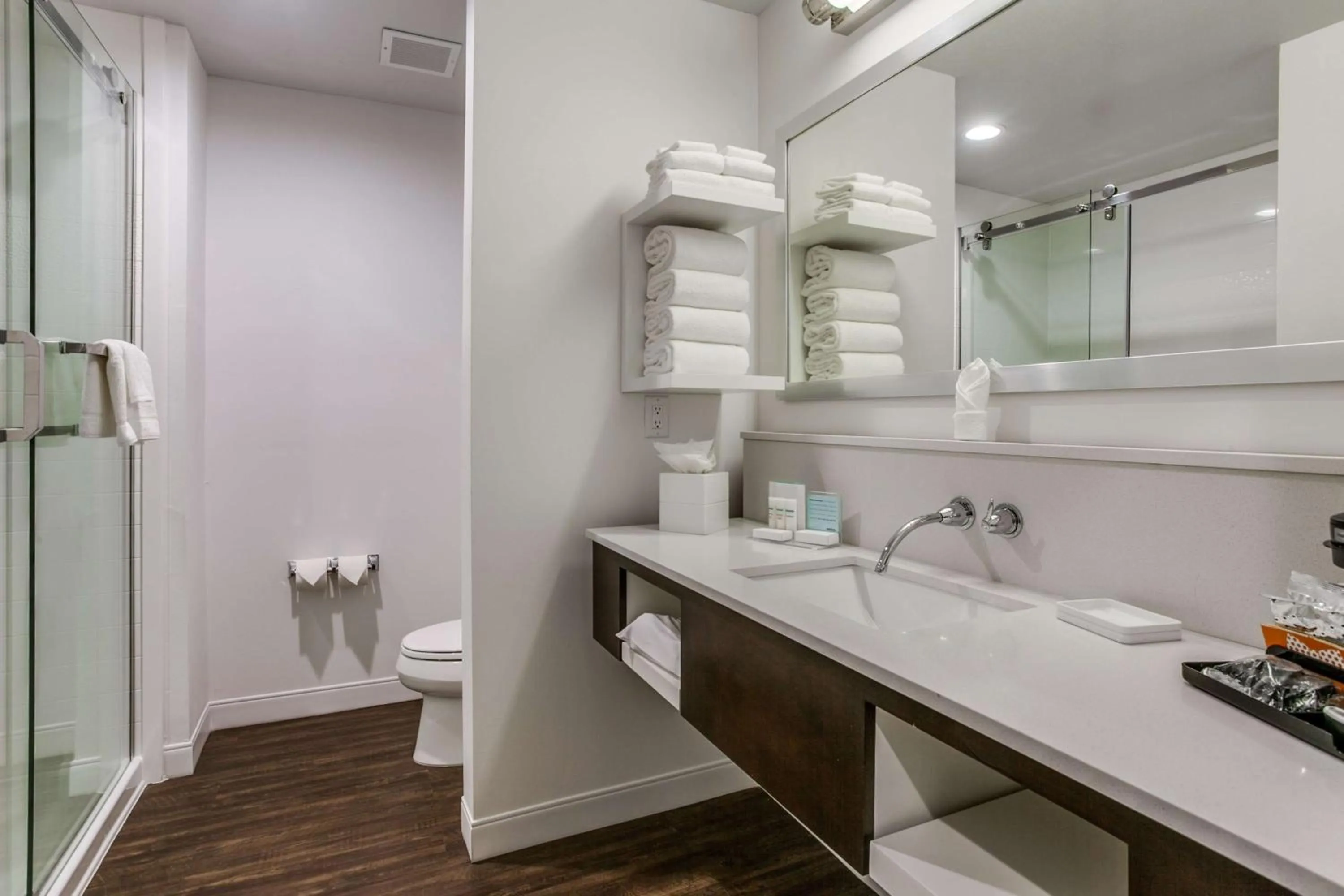 Bathroom in Hampton Inn & Suites Dallas-Central Expy/North Park Area