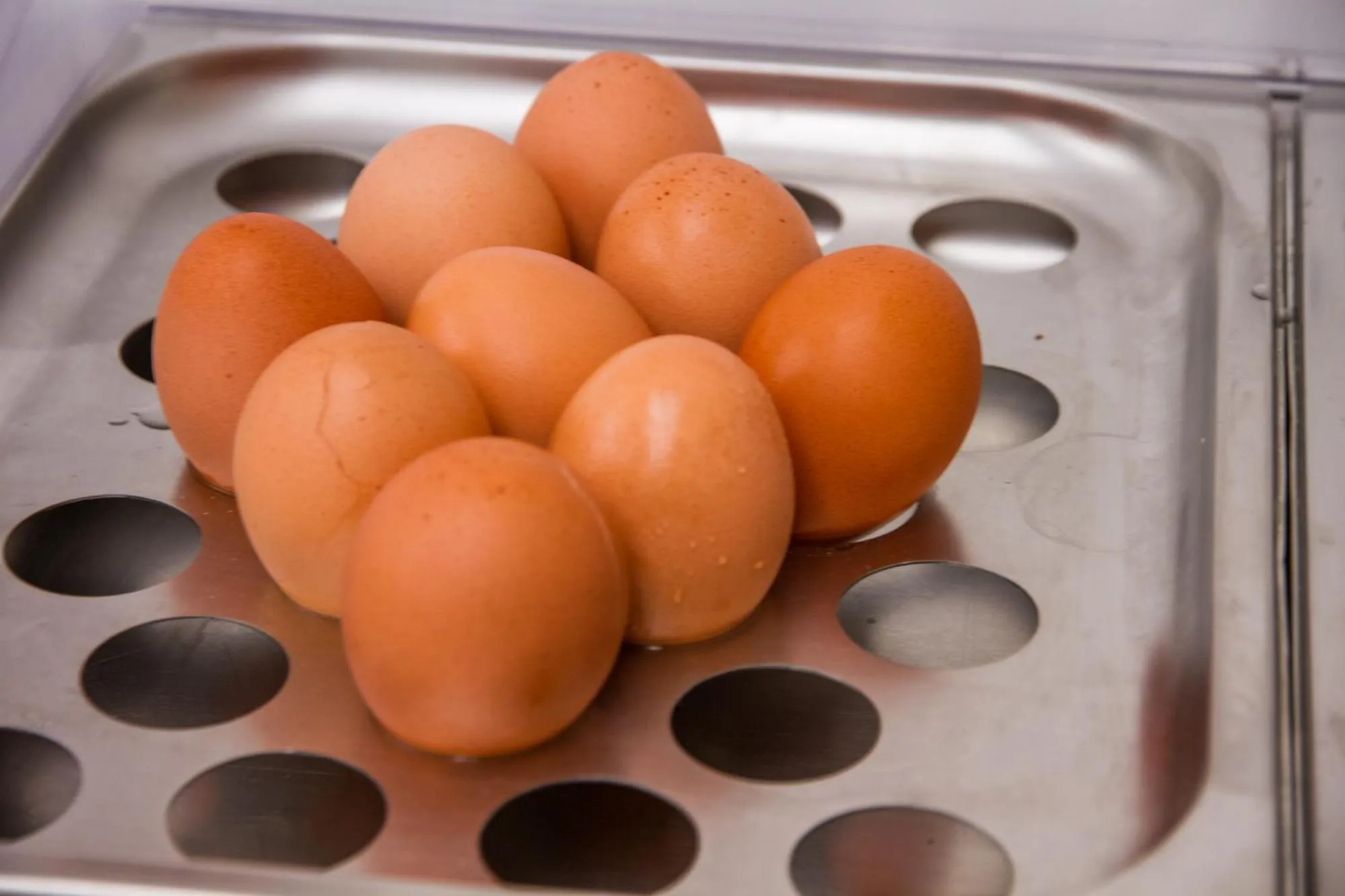 Breakfast in Hotel Nelson