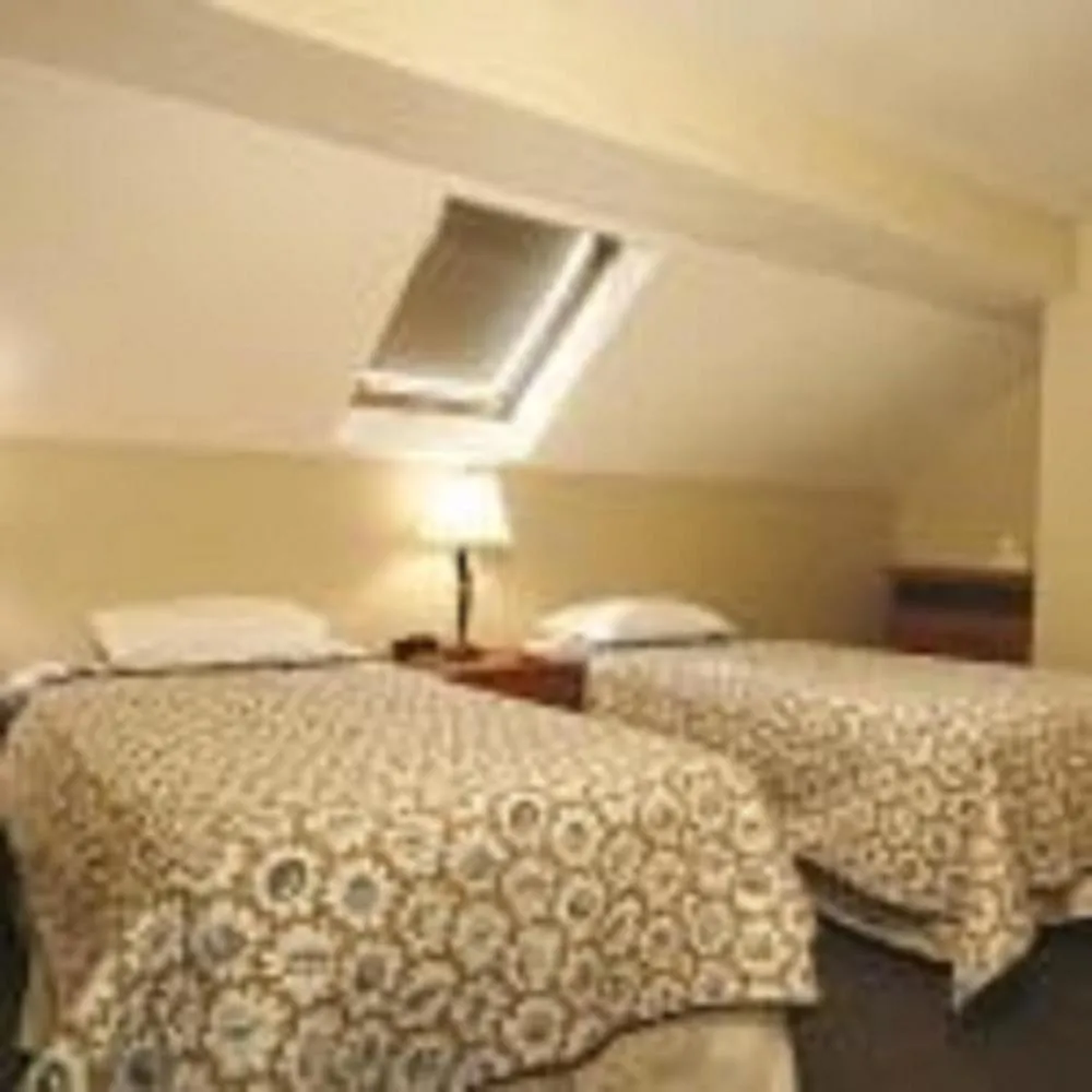 Bed in Studio East Motel