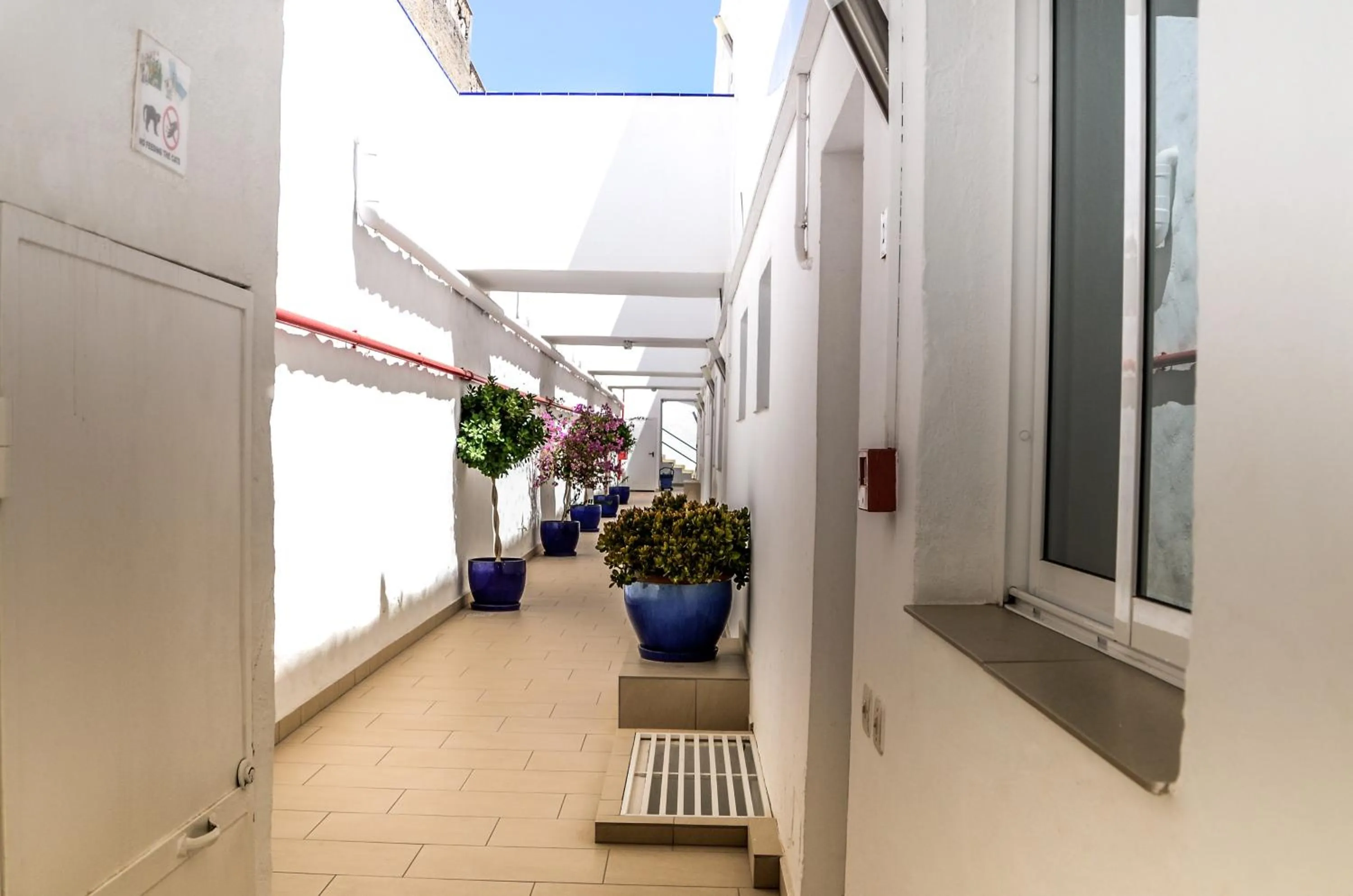 Area and facilities in Calypso Oasis Apartments