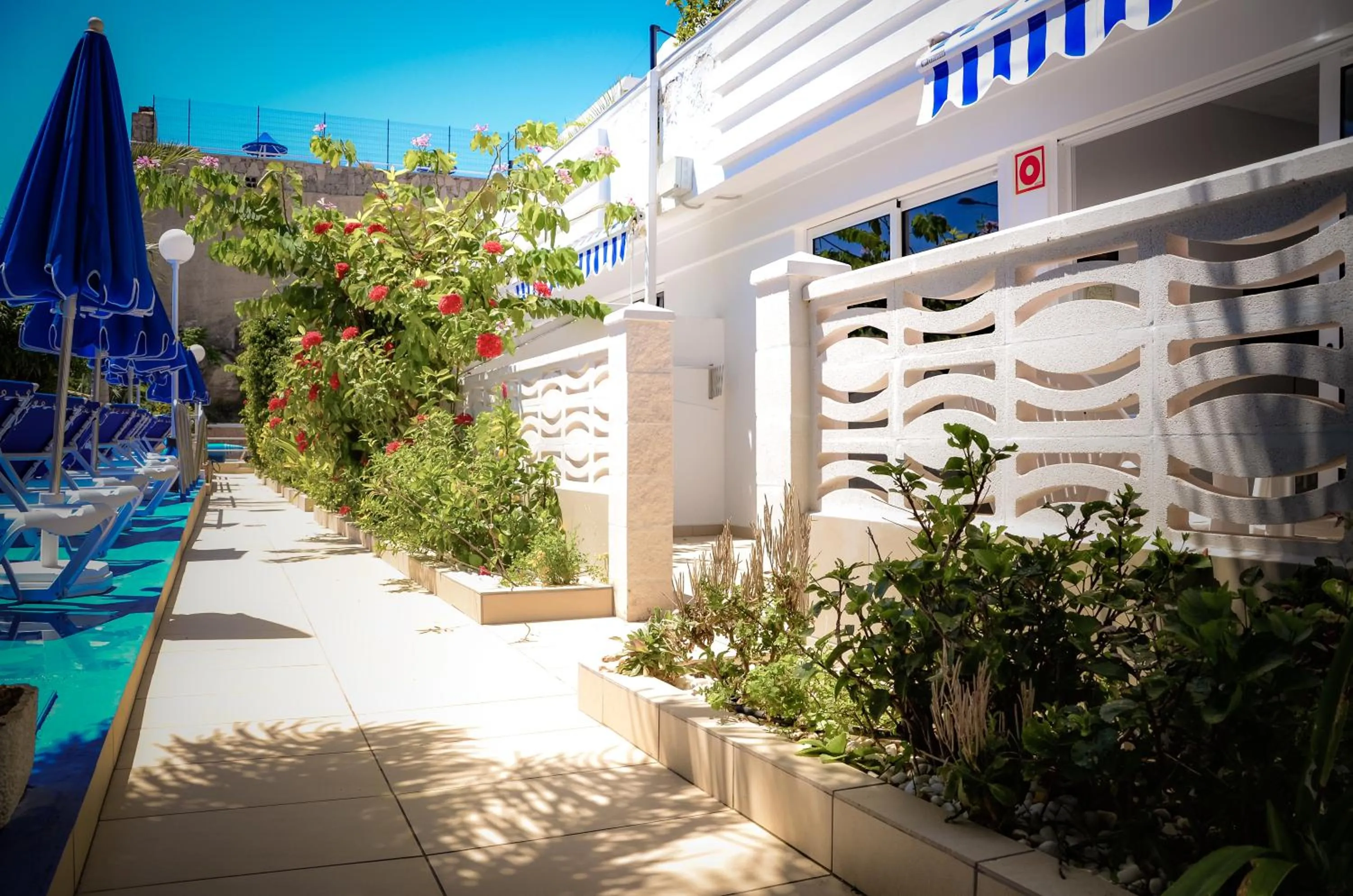 Garden in Calypso Oasis Apartments