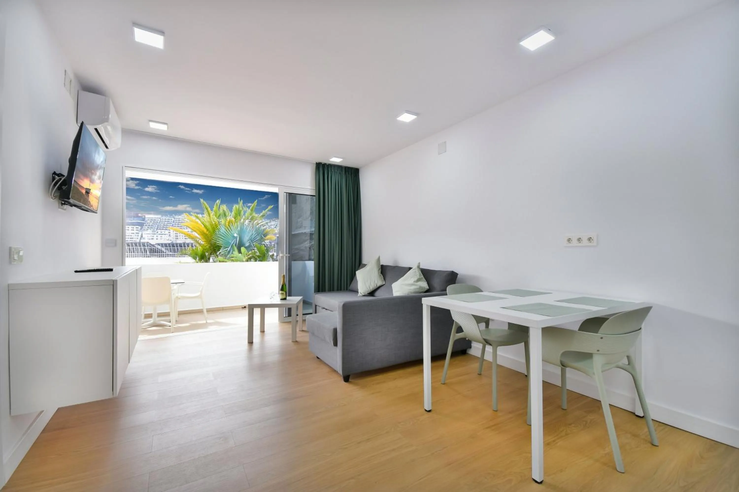 TV and multimedia in Palm Suites