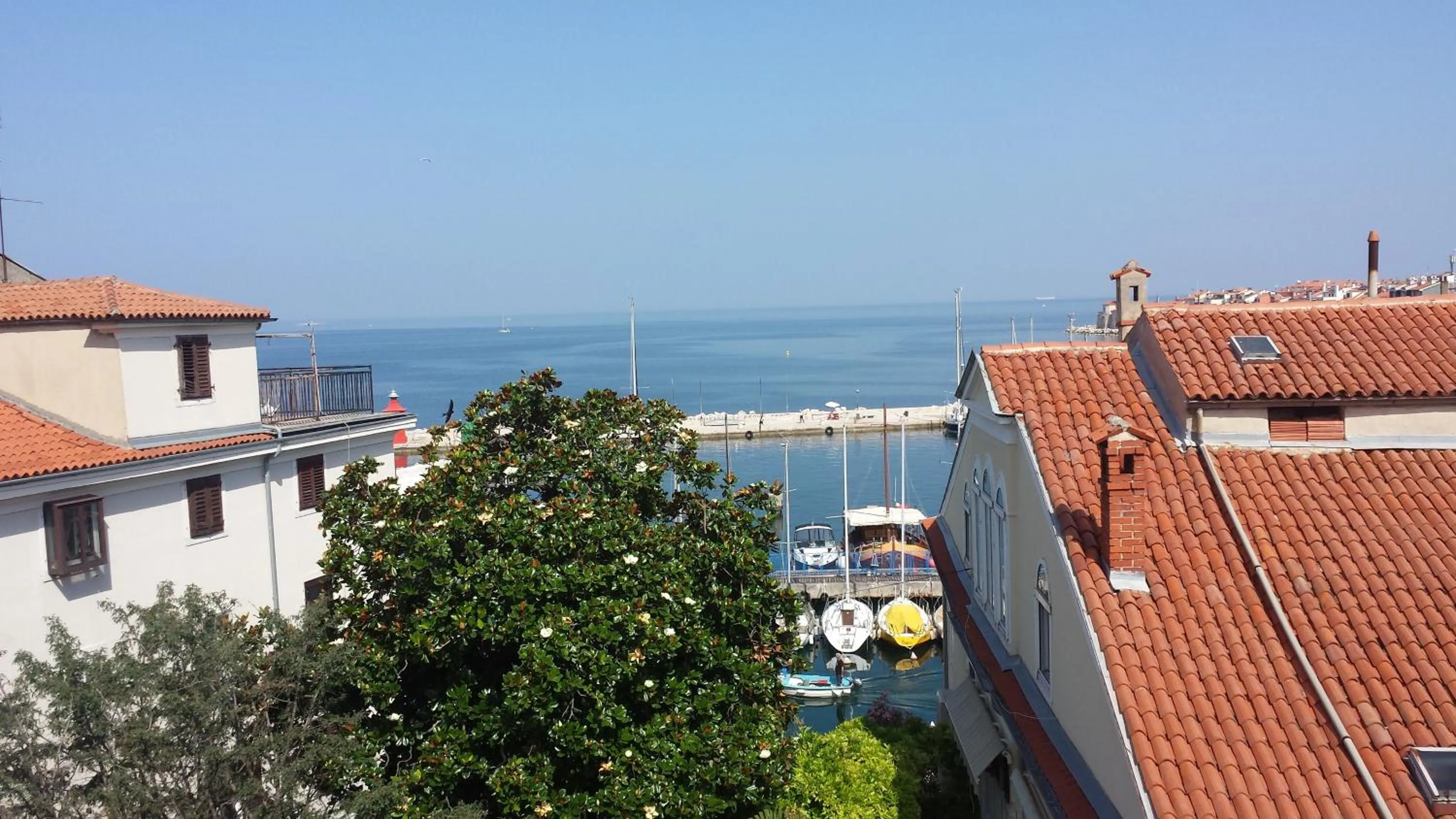 Neighbourhood in Piranika