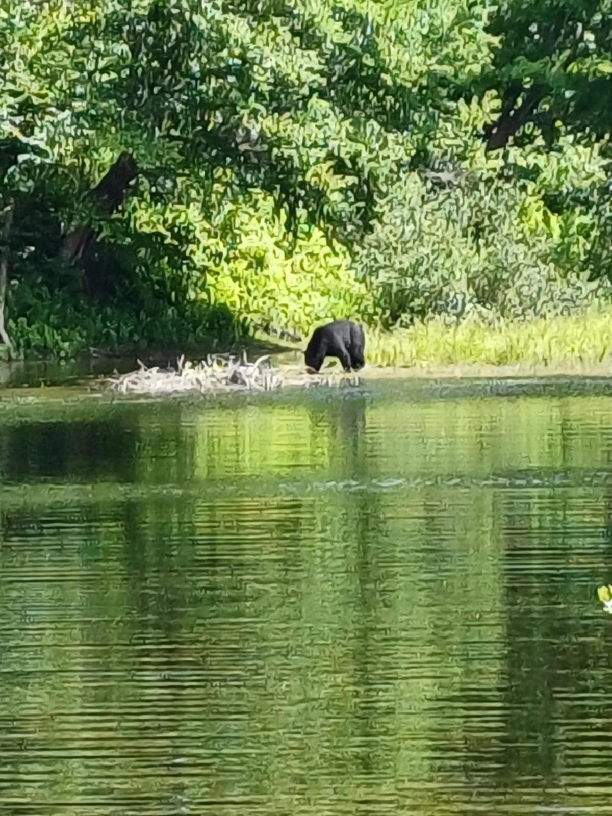 Hébergement de la Montagne St-Roch