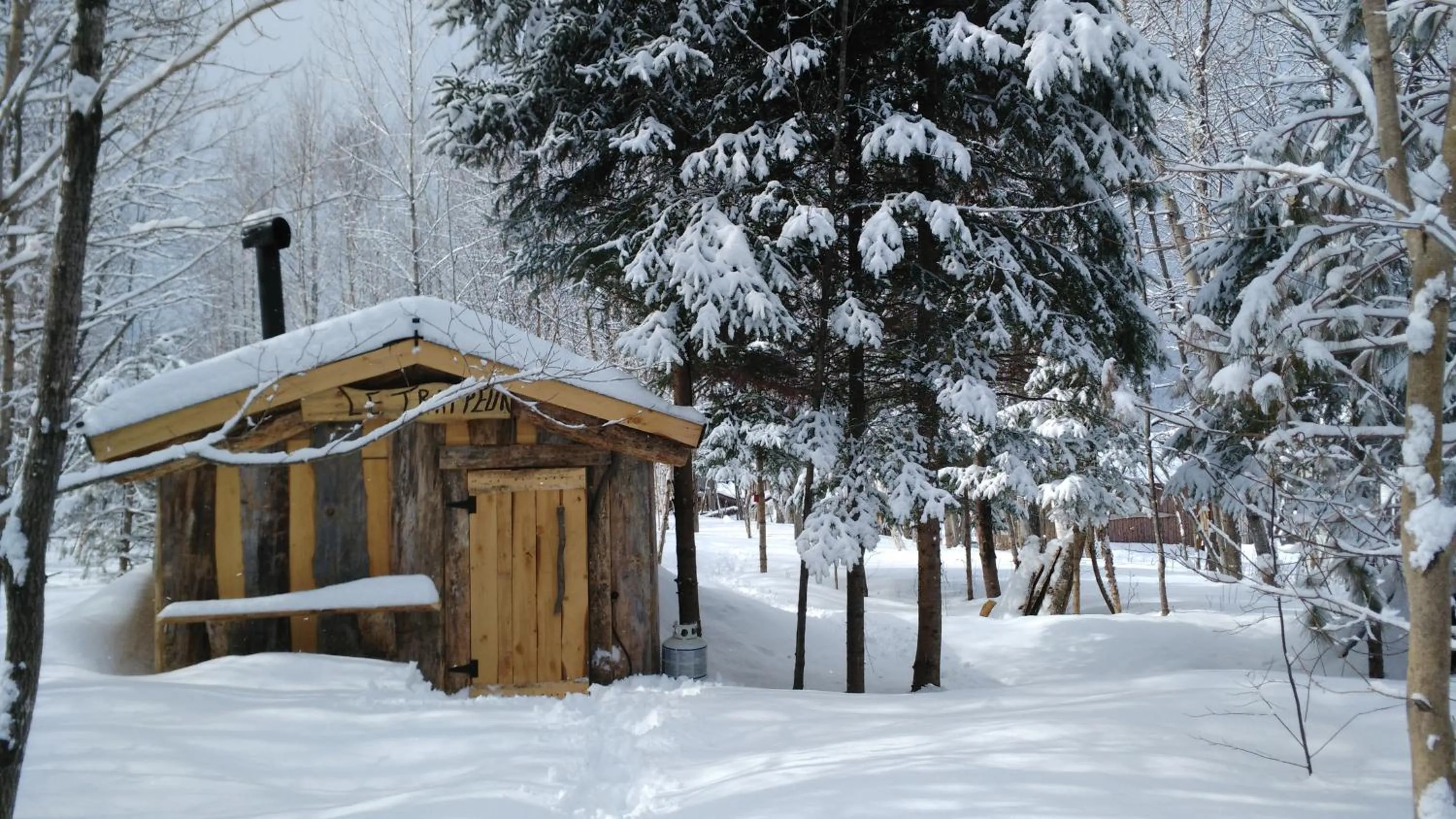 BBQ facilities in Hébergement de la Montagne St-Roch