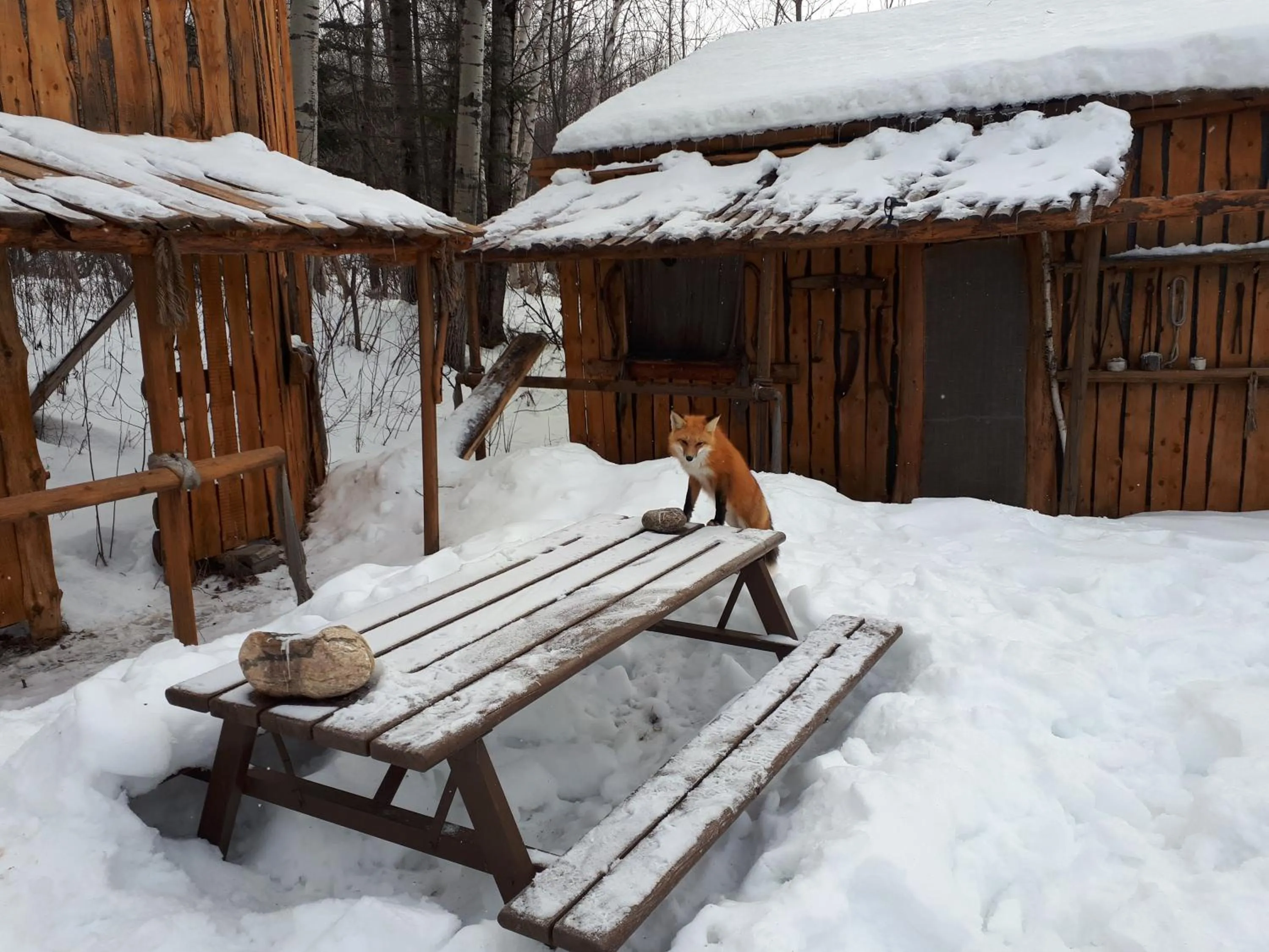 Hébergement de la Montagne St-Roch
