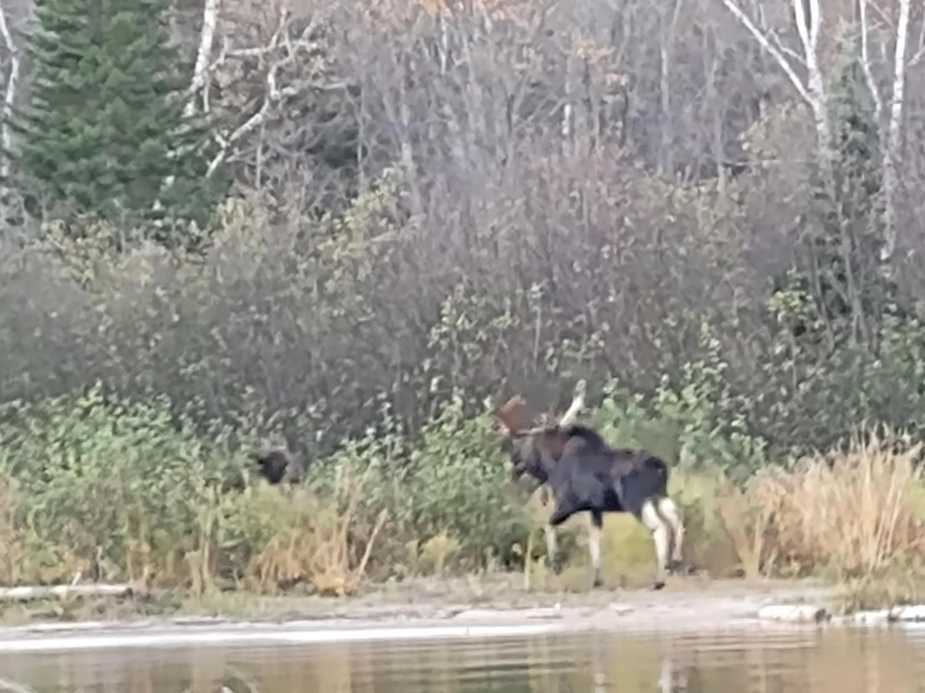 Hébergement de la Montagne St-Roch