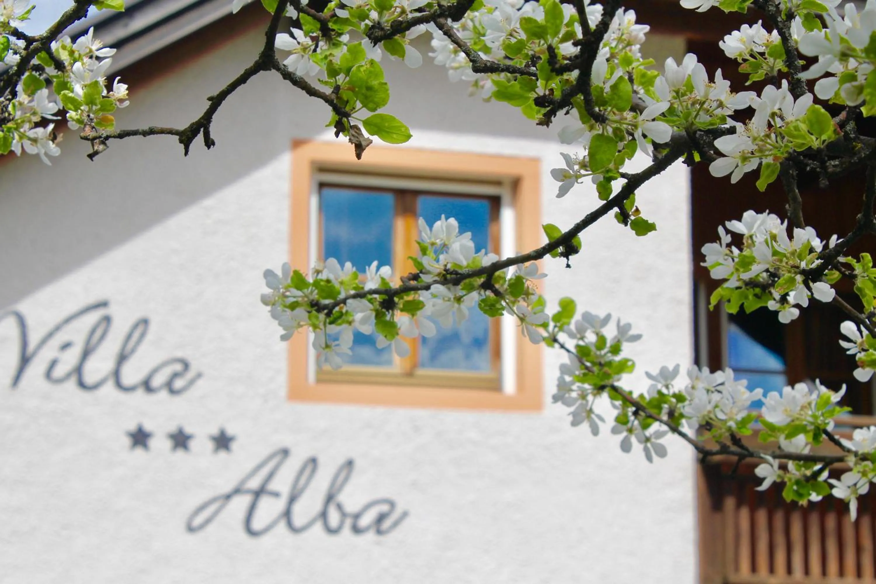Property building in Villa Alba