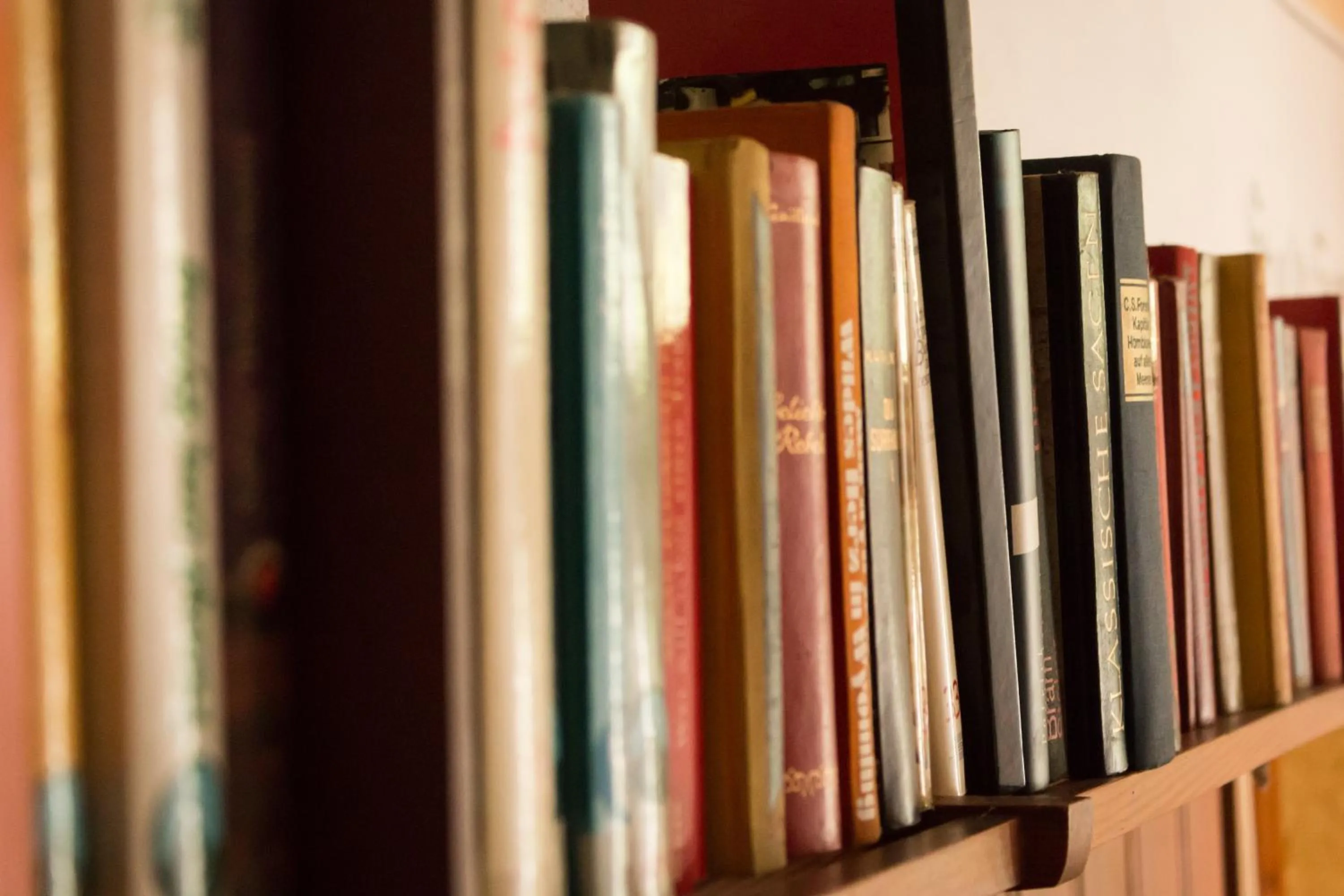 Library in Villa Alba