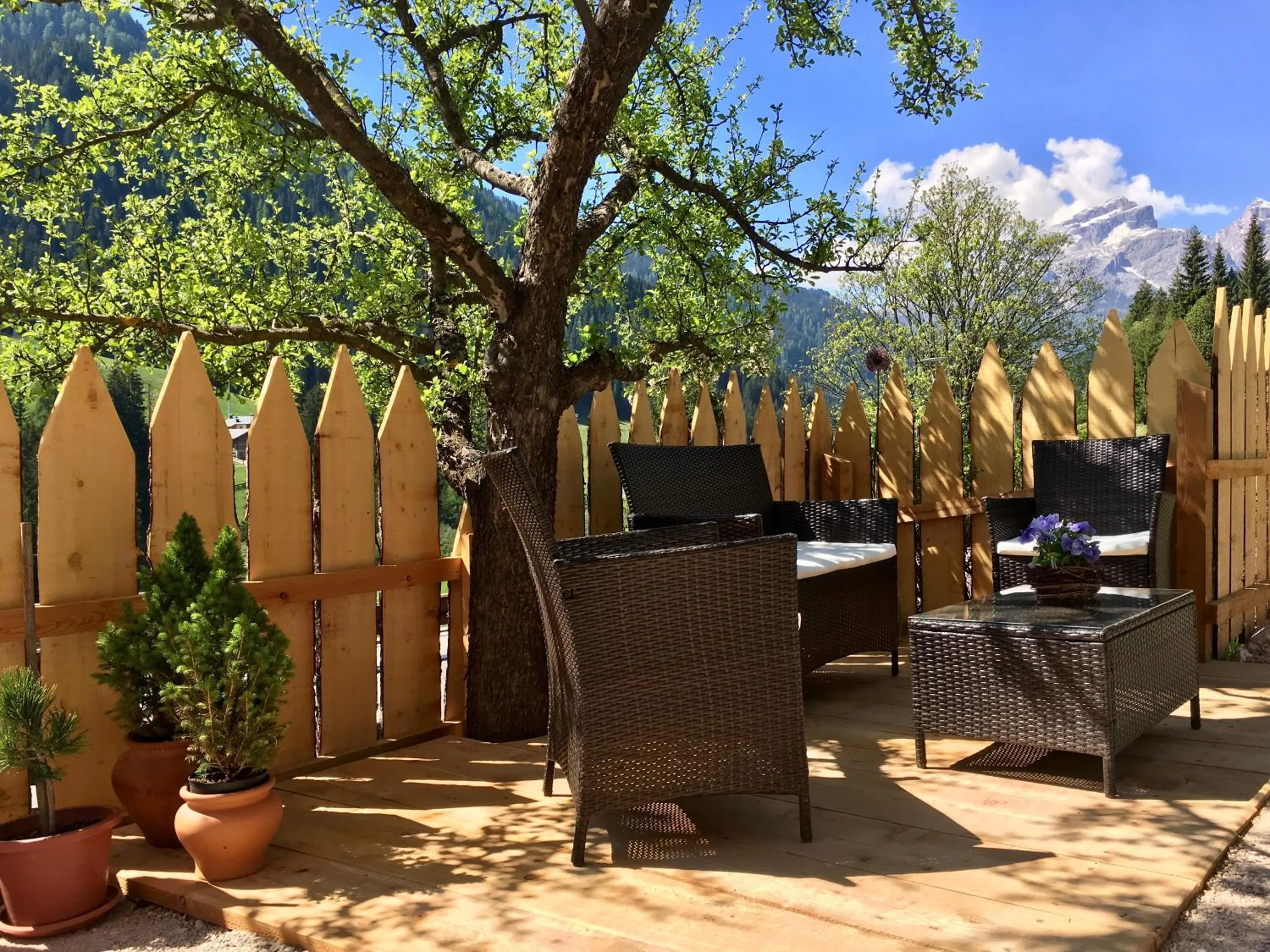 Garden in Villa Alba