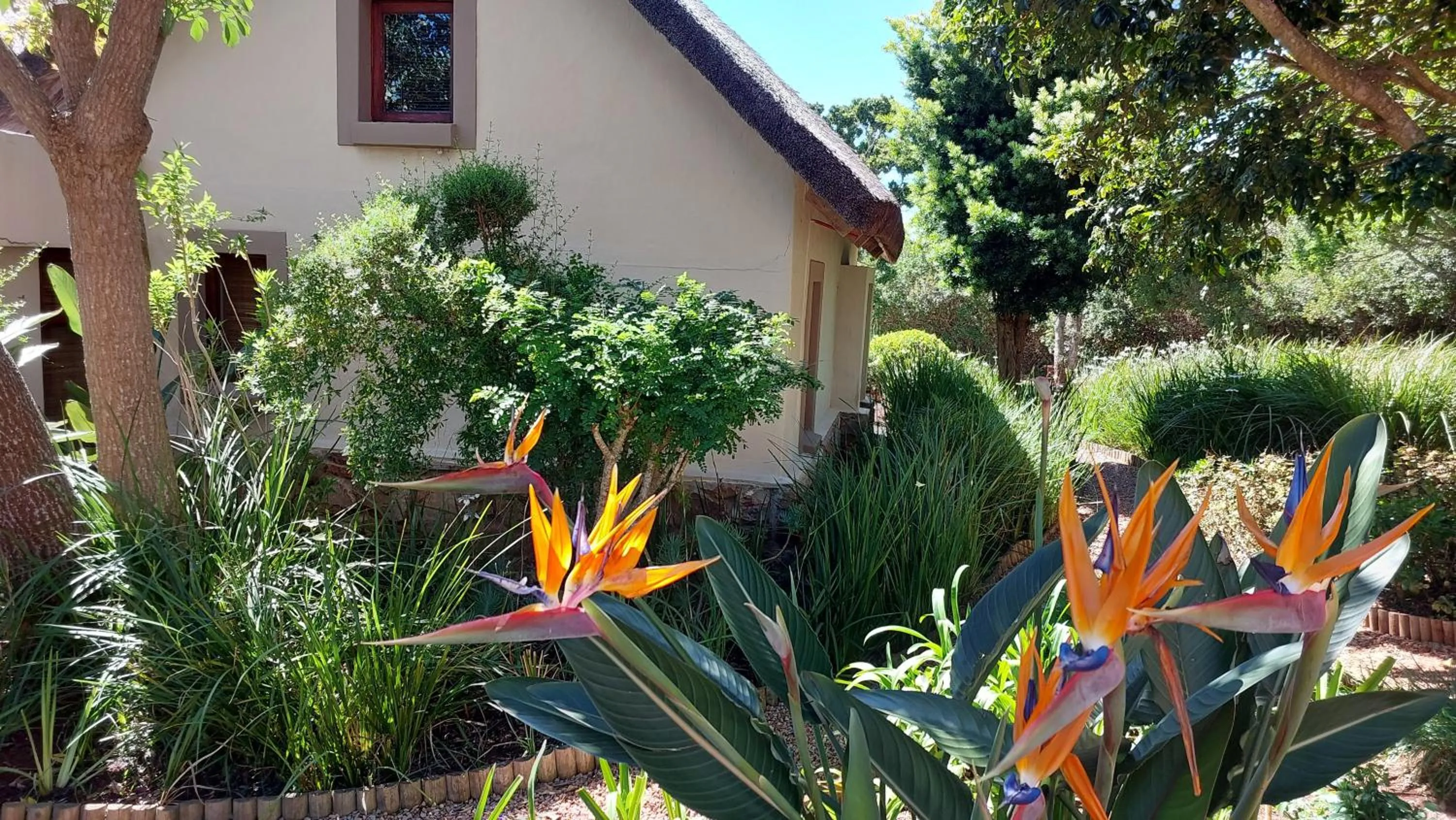 Garden in Paradise Cove