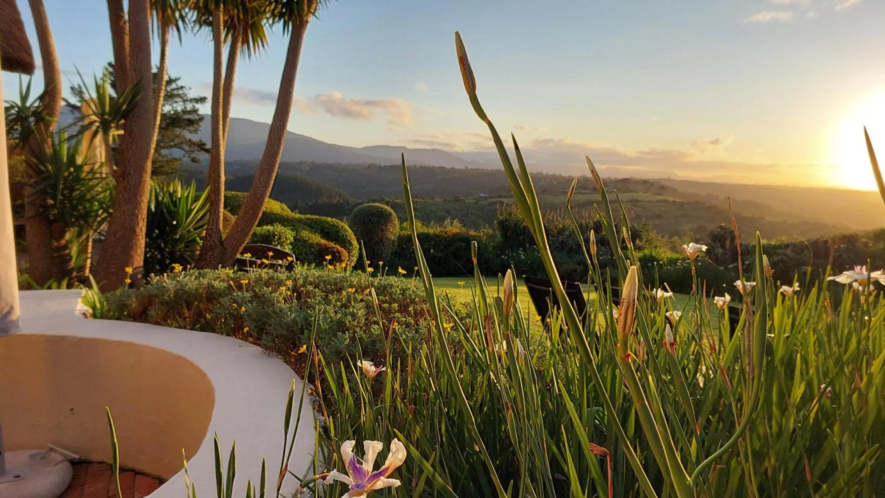 Garden in Paradise Cove