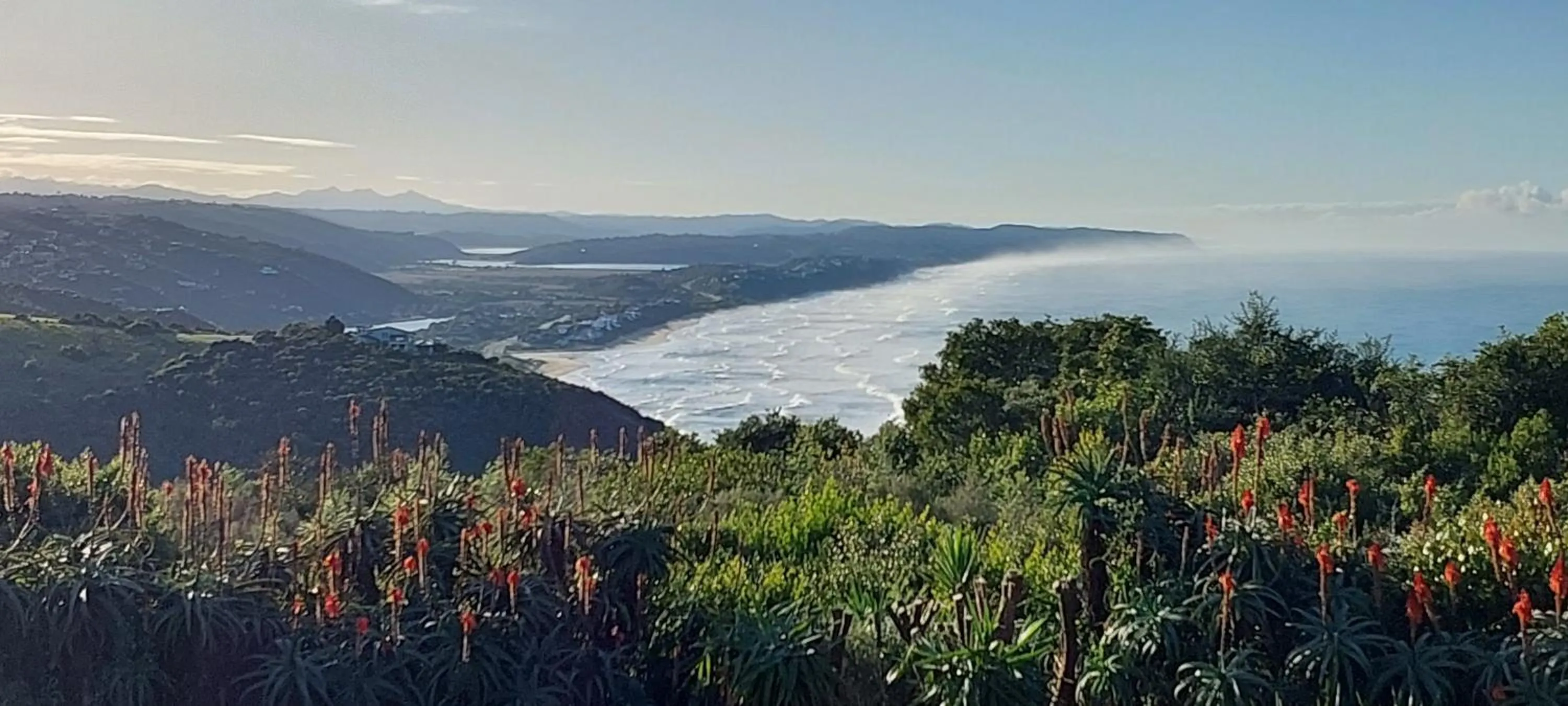 Sea view in Paradise Cove