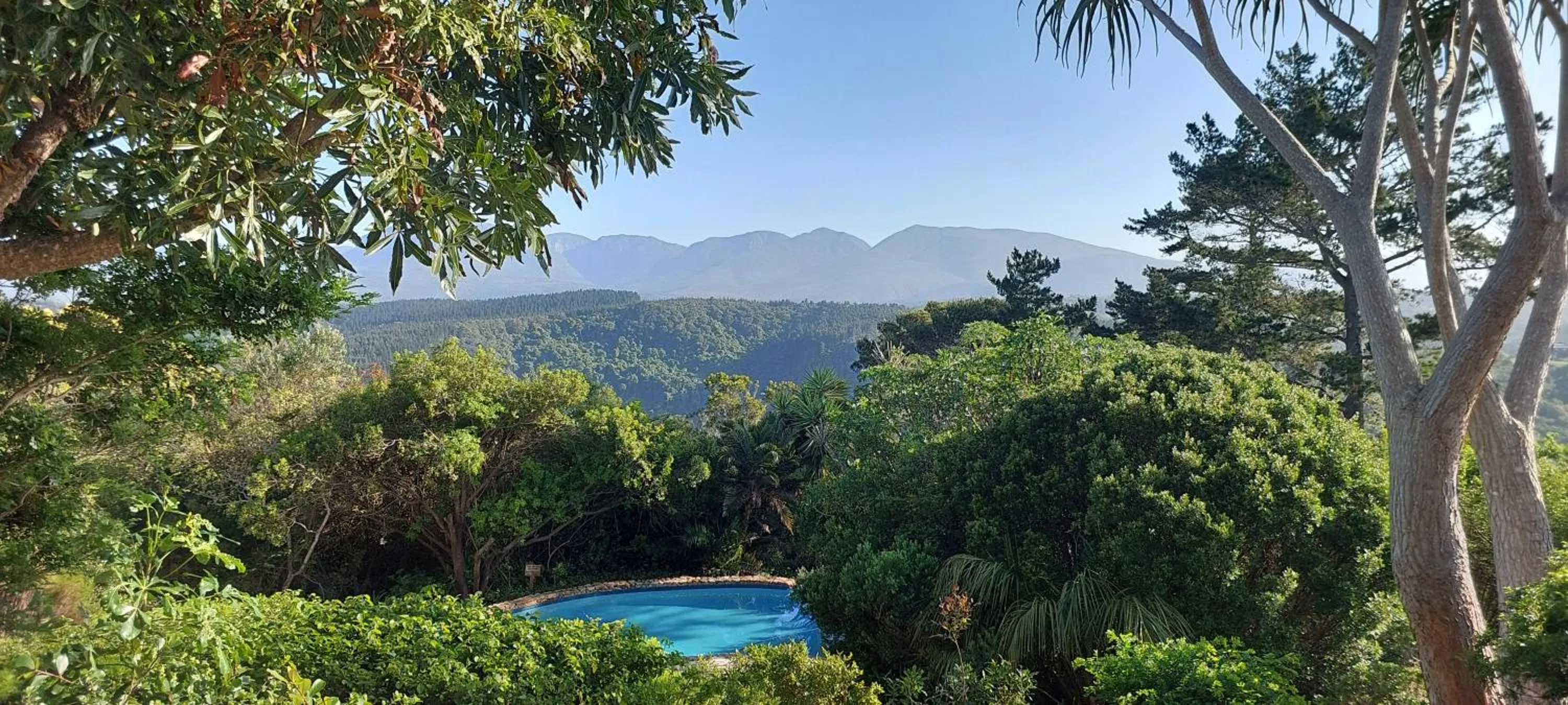 Natural landscape in Paradise Cove