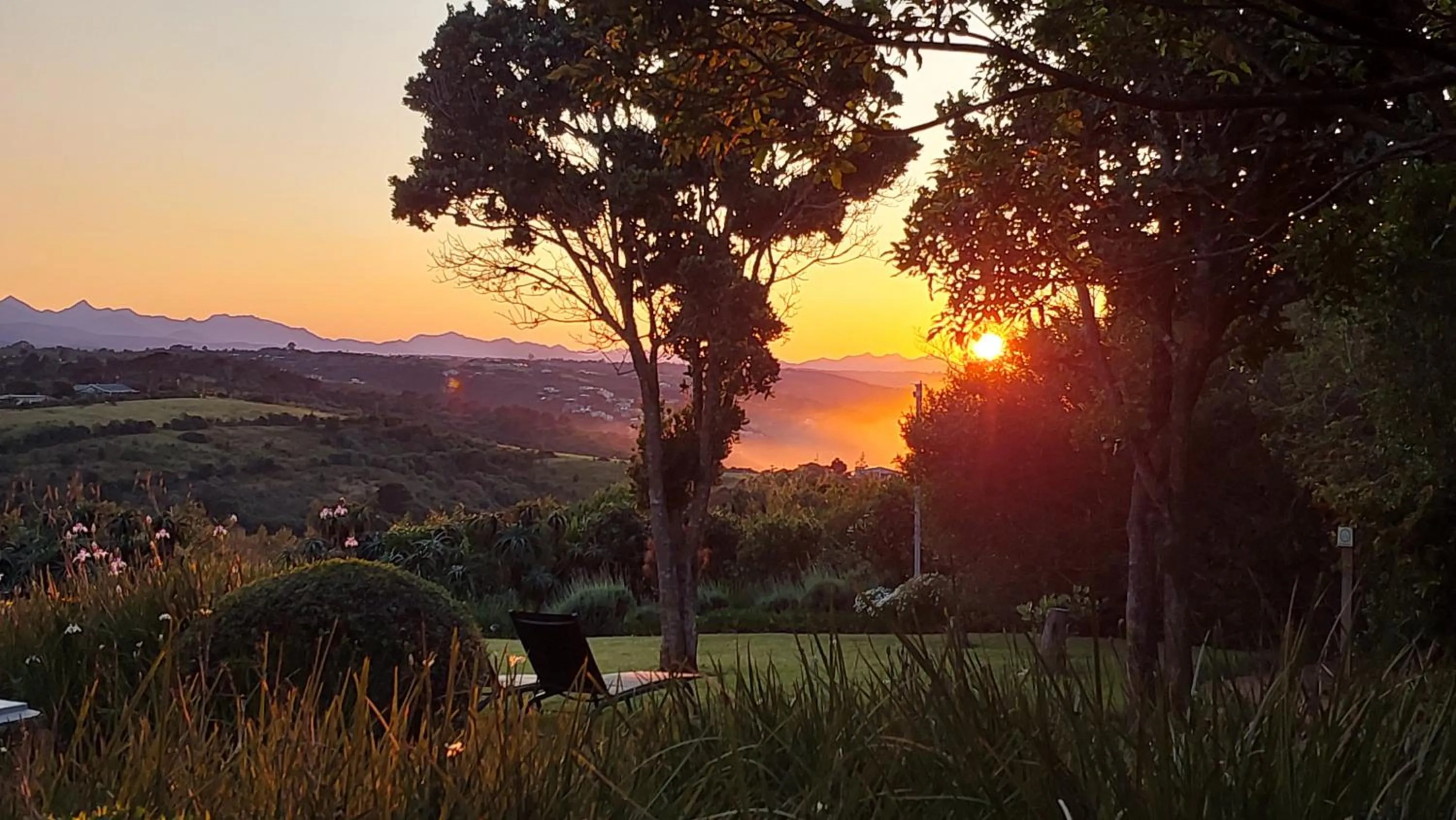 Natural landscape in Paradise Cove