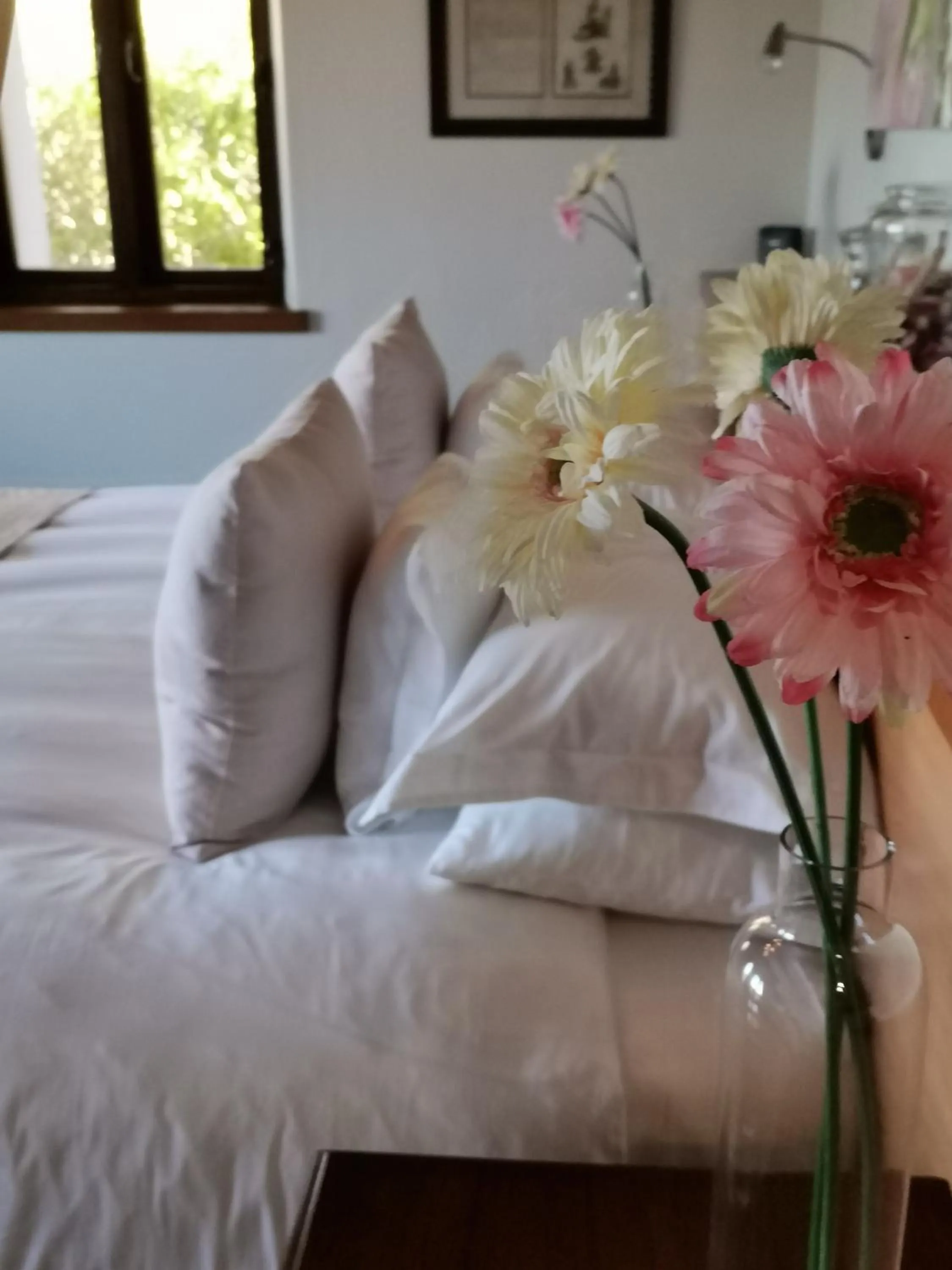 Bed in Paradise Cove