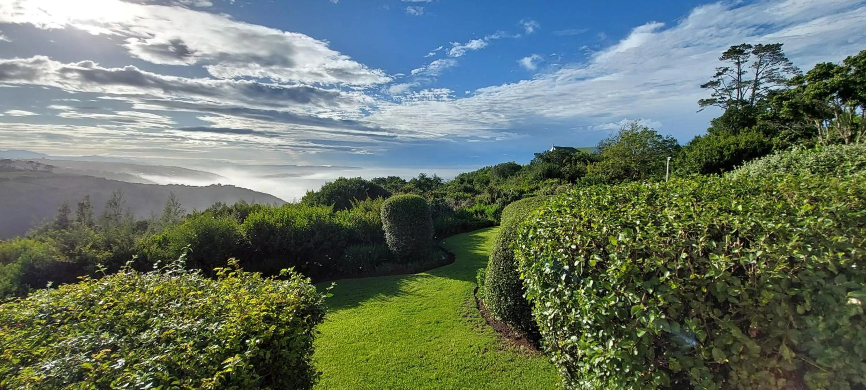 Garden in Paradise Cove
