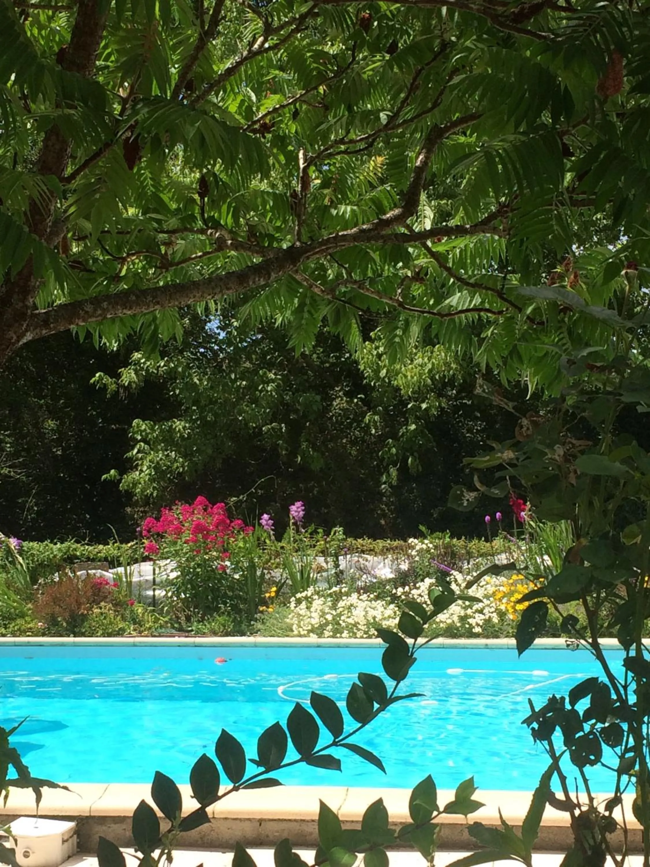 Pool view in Les Luz - Chambres d'hôtes