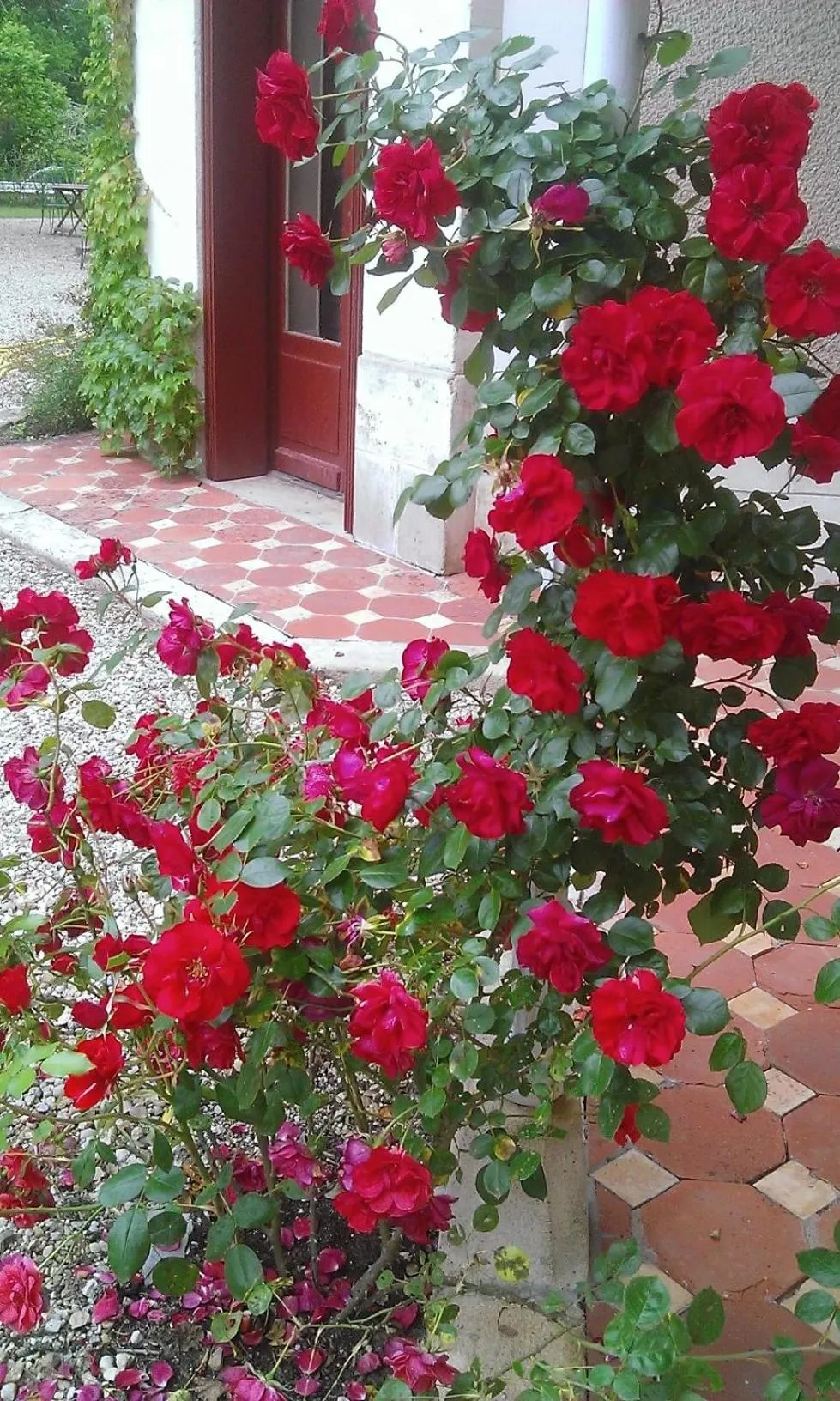 Patio in Les Luz - Chambres d'hôtes
