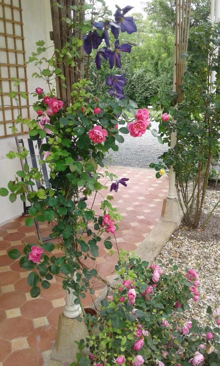 Patio in Les Luz - Chambres d'hôtes