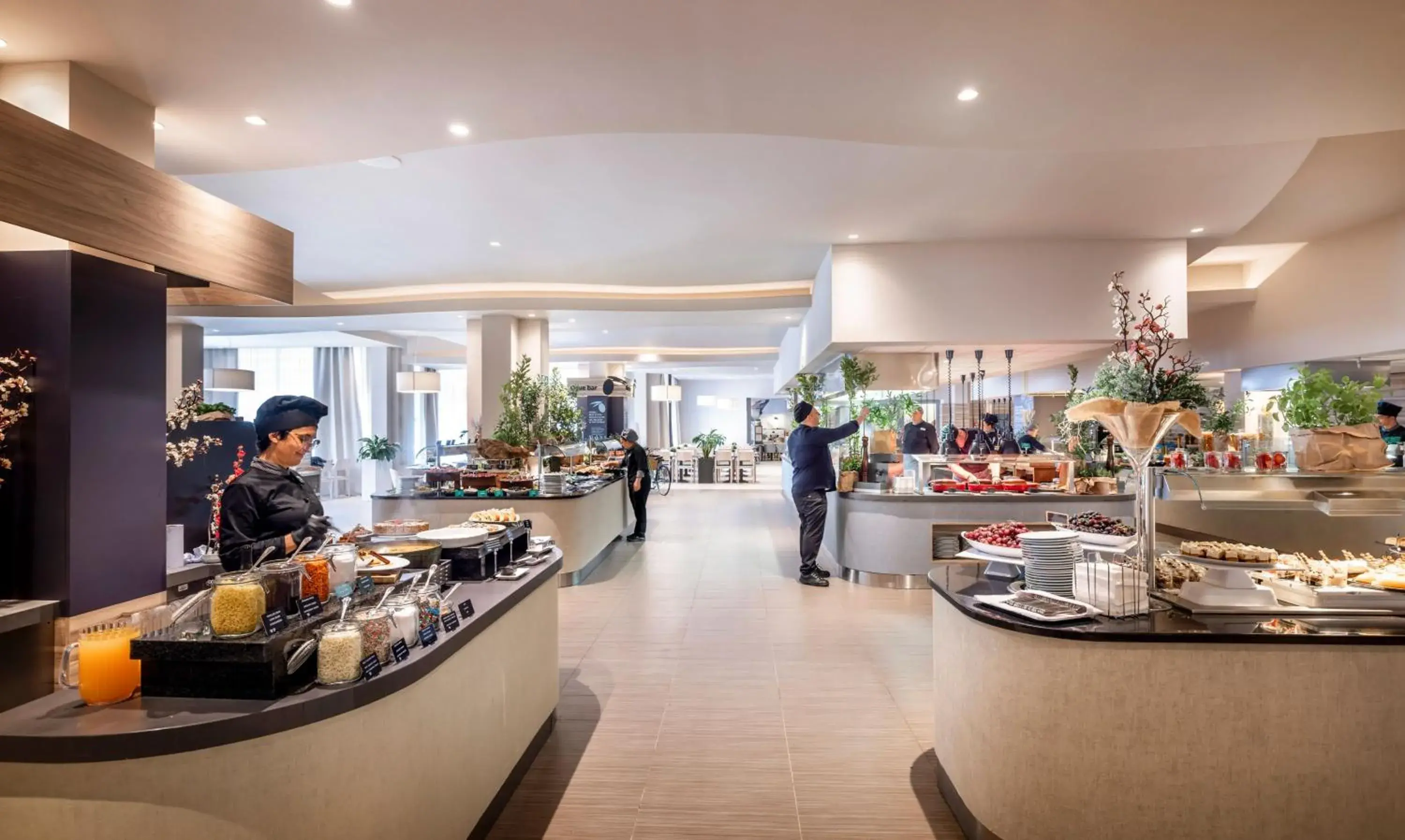 Buffet breakfast in Valamar Parentino Hotel Buffet breakfast in Valamar Parentino Hotel