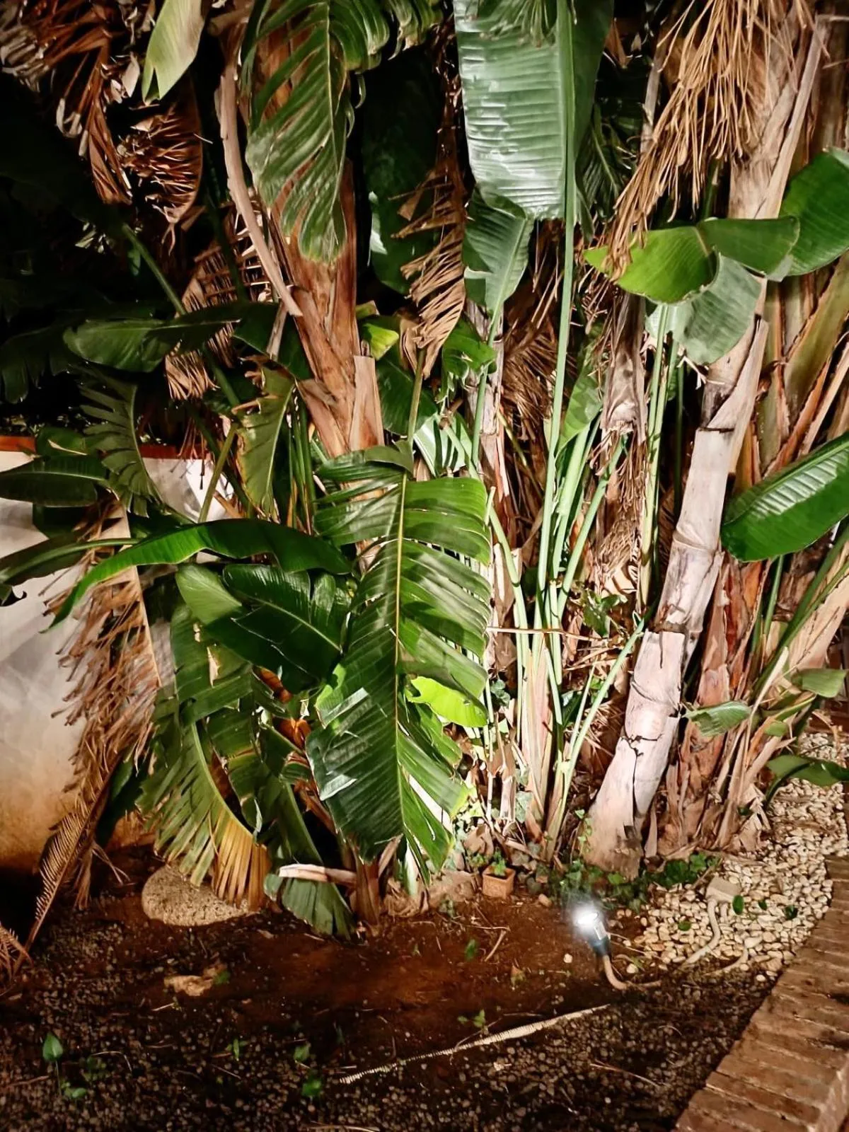 Villa Antonella rooms Mondello