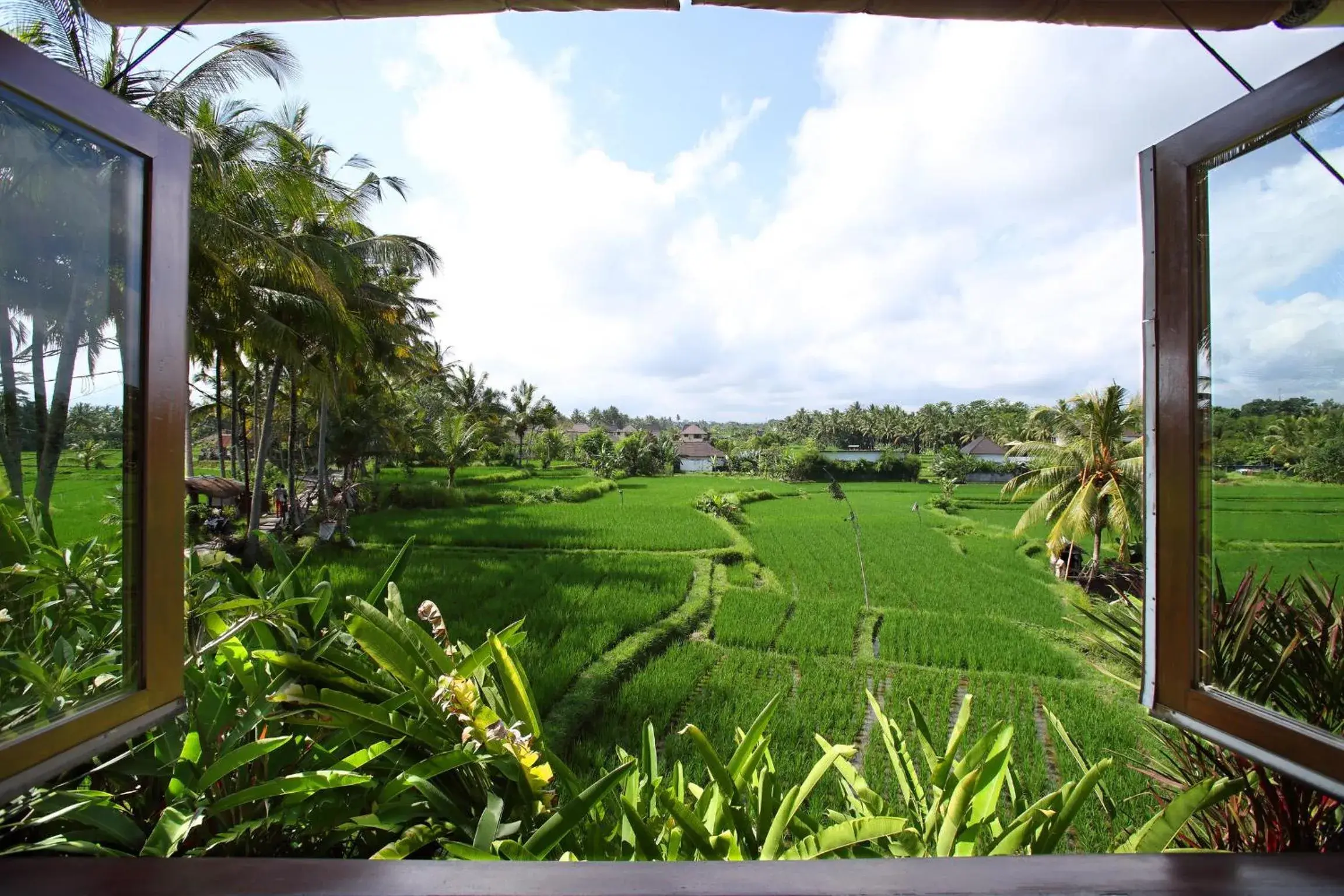 View (from property/room) in Satori Villas Bali View (from property/room) in Satori Villas Bali