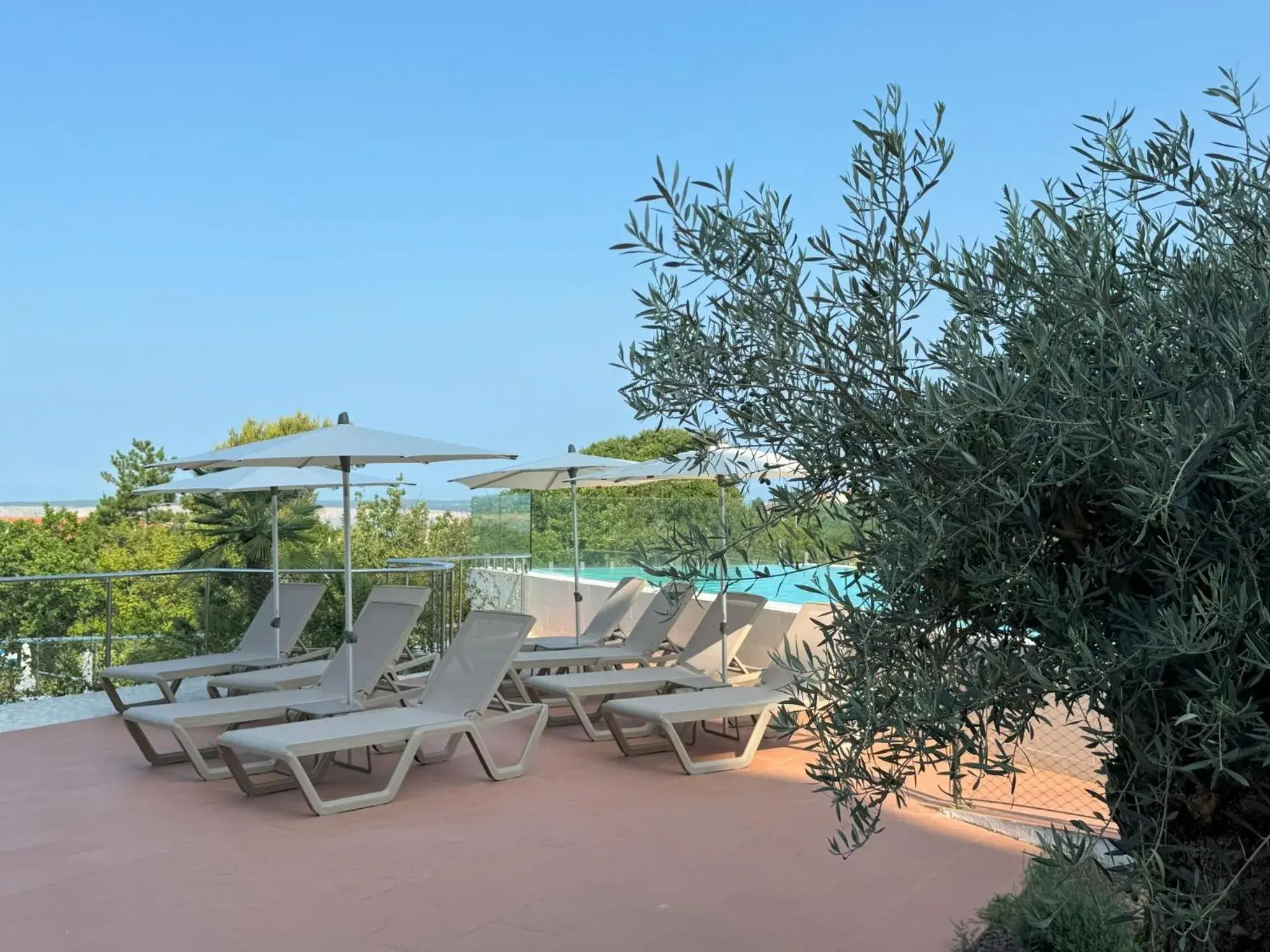 Swimming pool in Hotel Omorika Swimming pool in Hotel Omorika