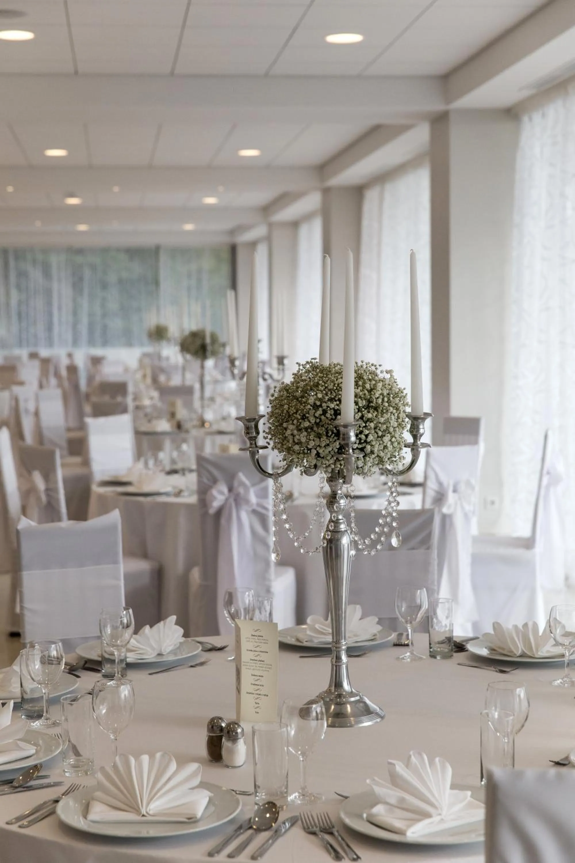 Banquet/Function facilities in Hotel Omorika