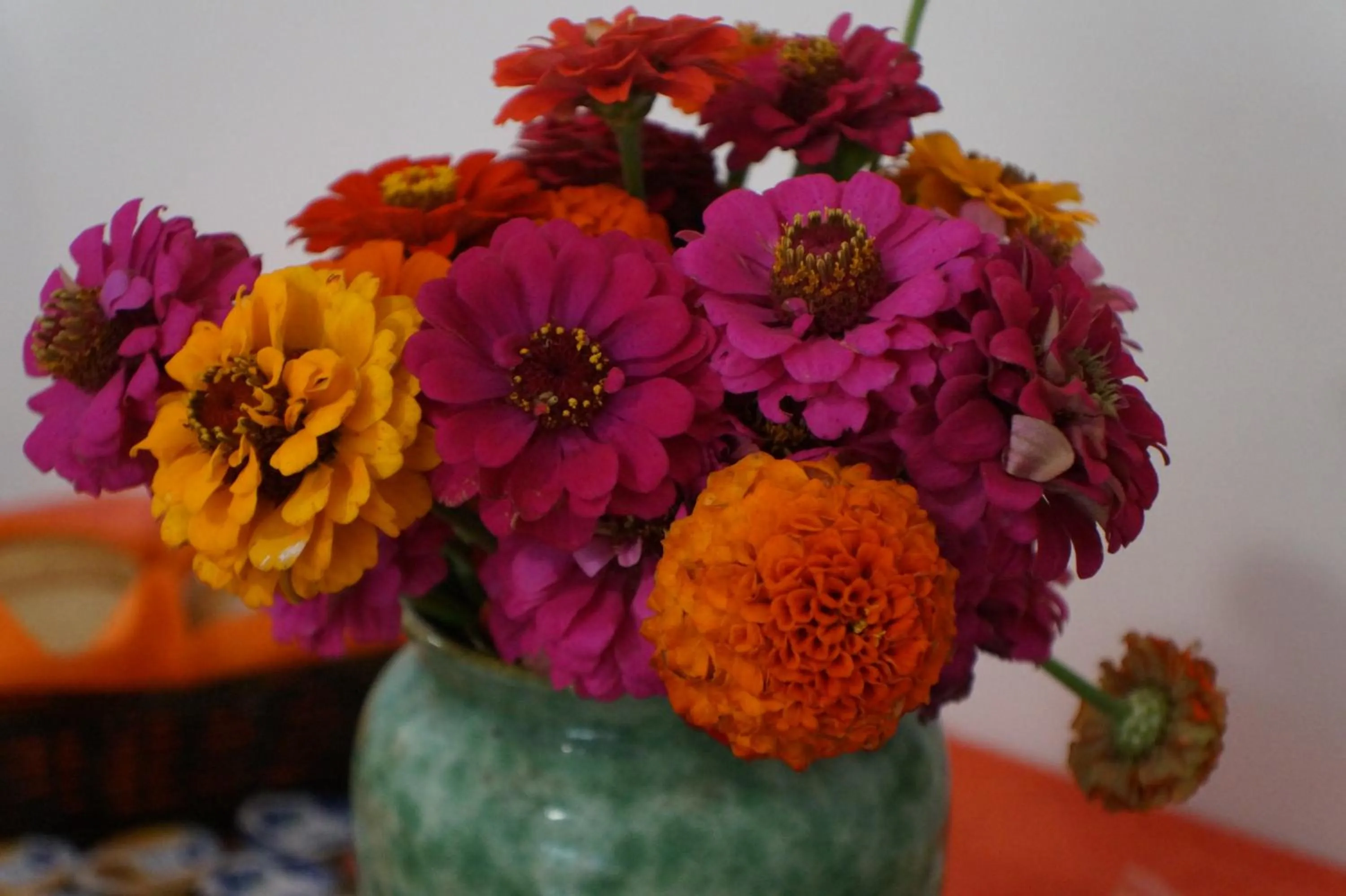 Living room in LeAlbe di Sicilia