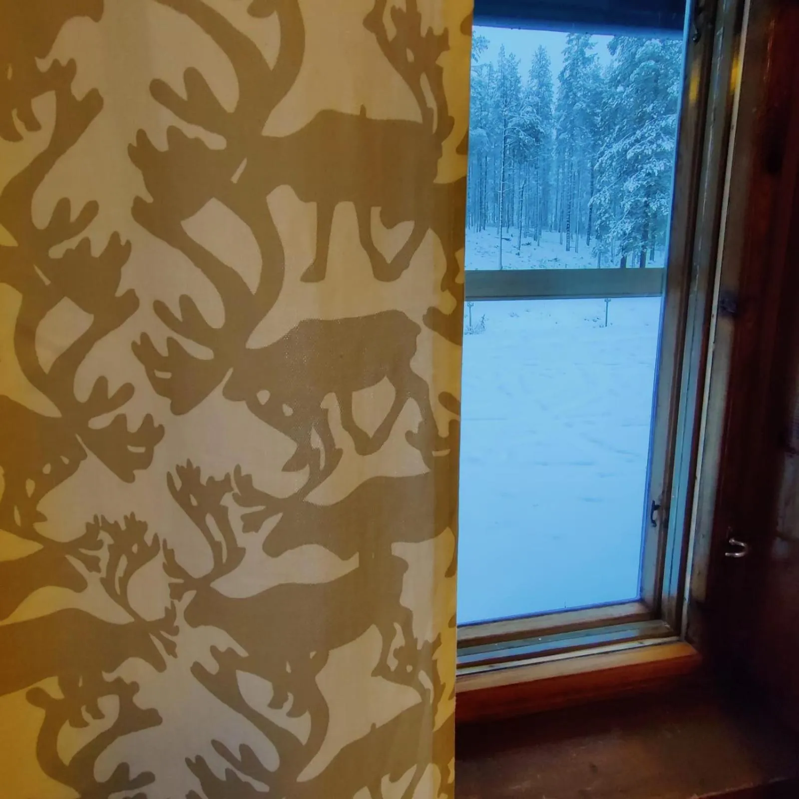 Winter in Kuerkievari KuerHostel