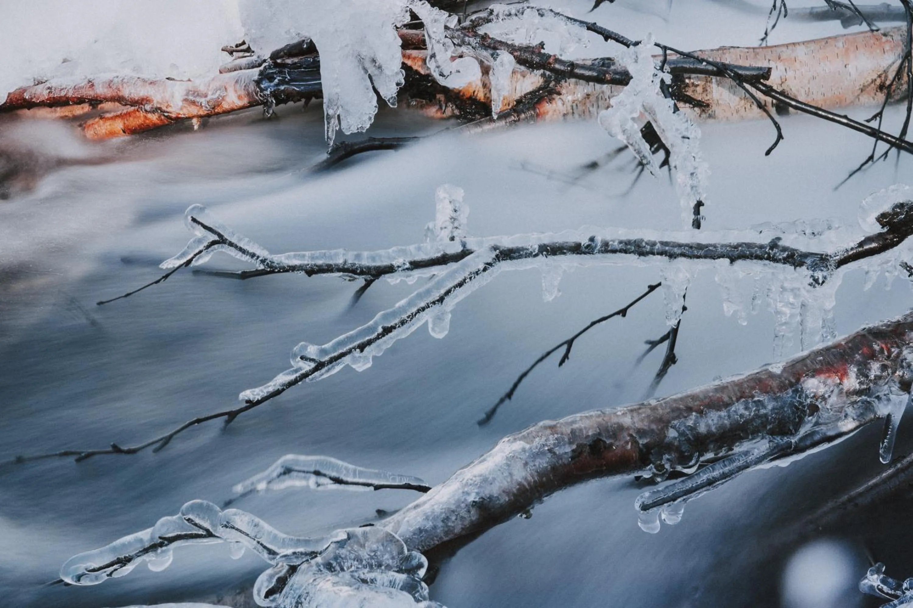 Natural landscape in Kuerkievari KuerHostel
