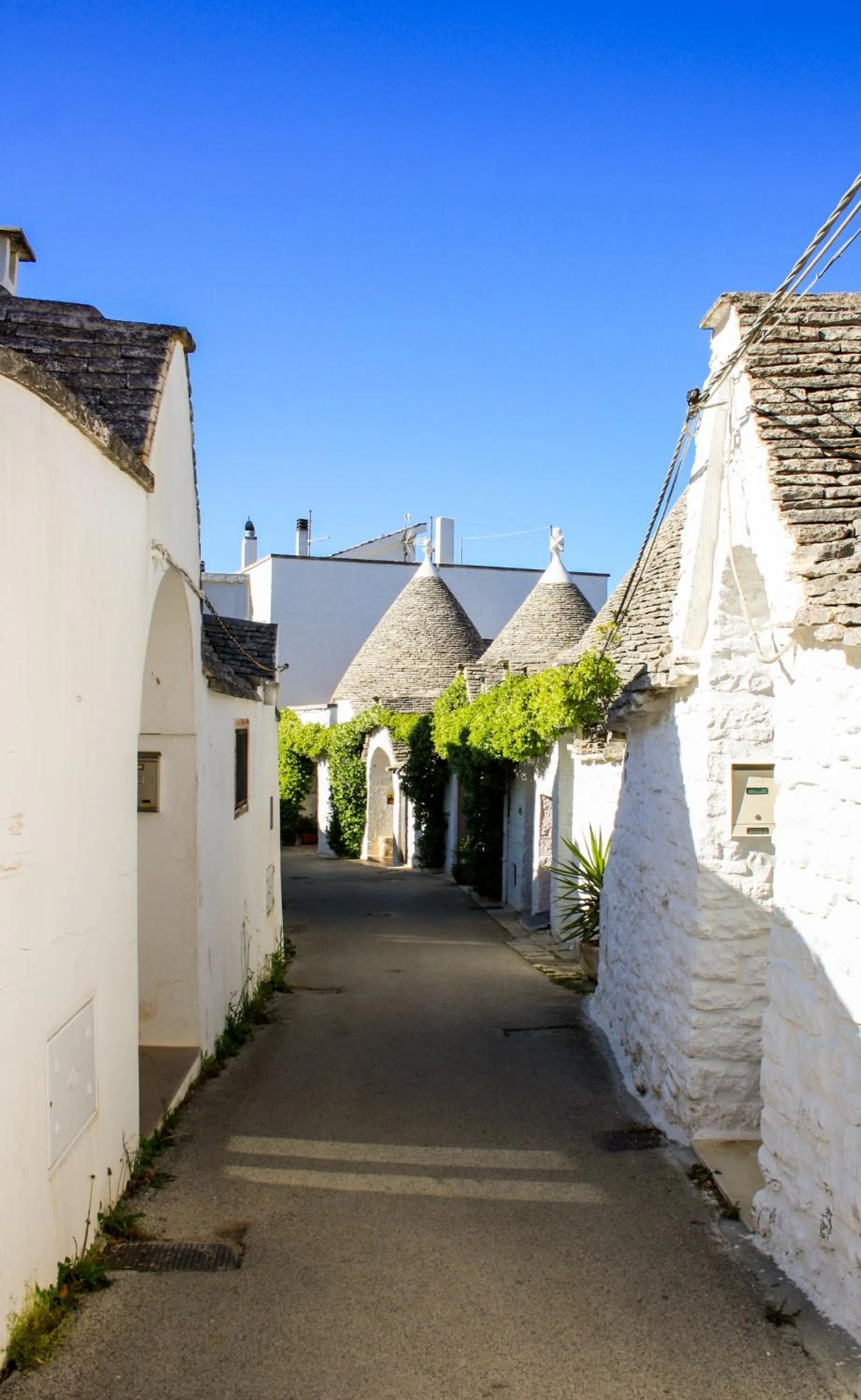 Neighbourhood in EnjoyTrulli - Unesco Site