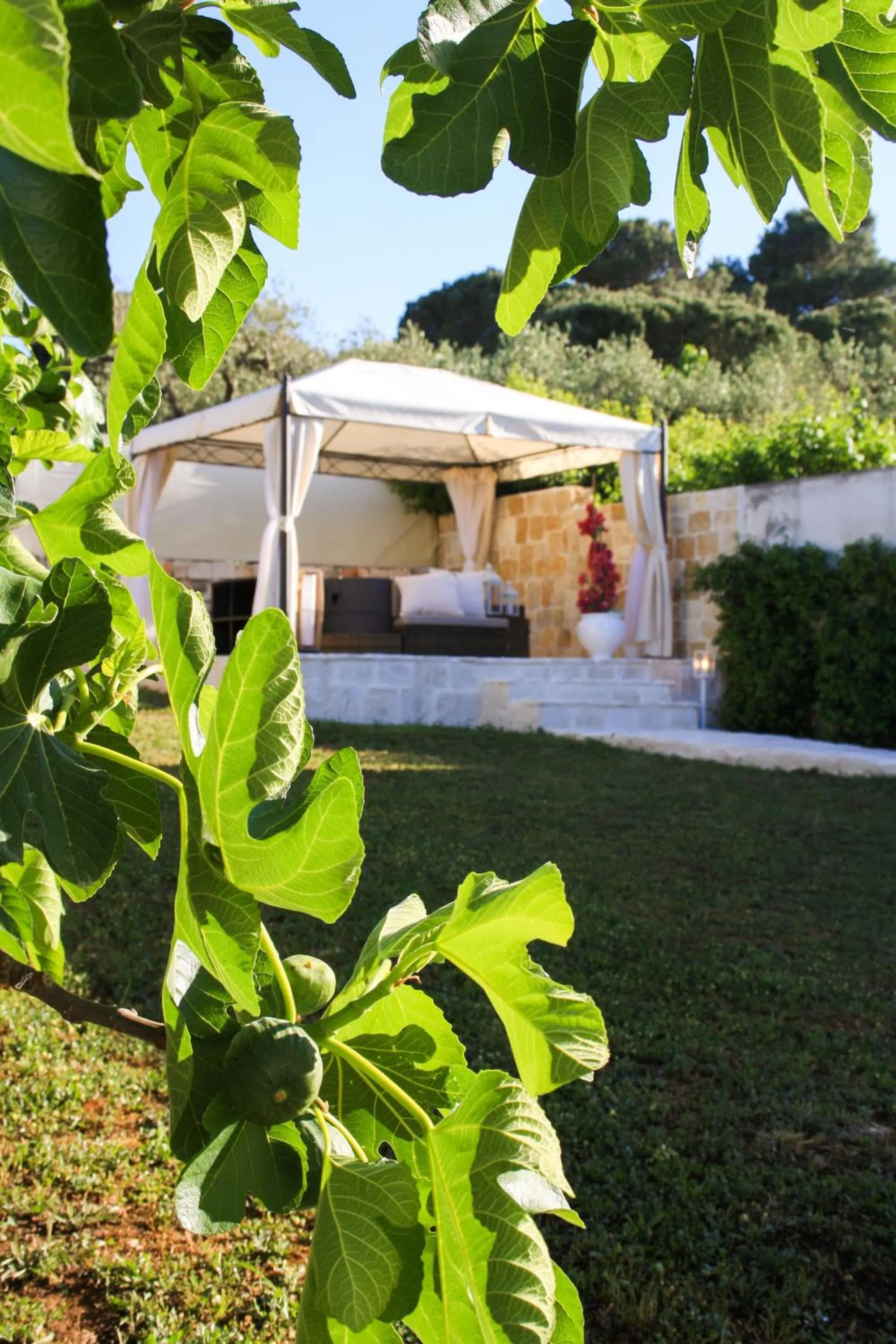 Garden in EnjoyTrulli - Unesco Site