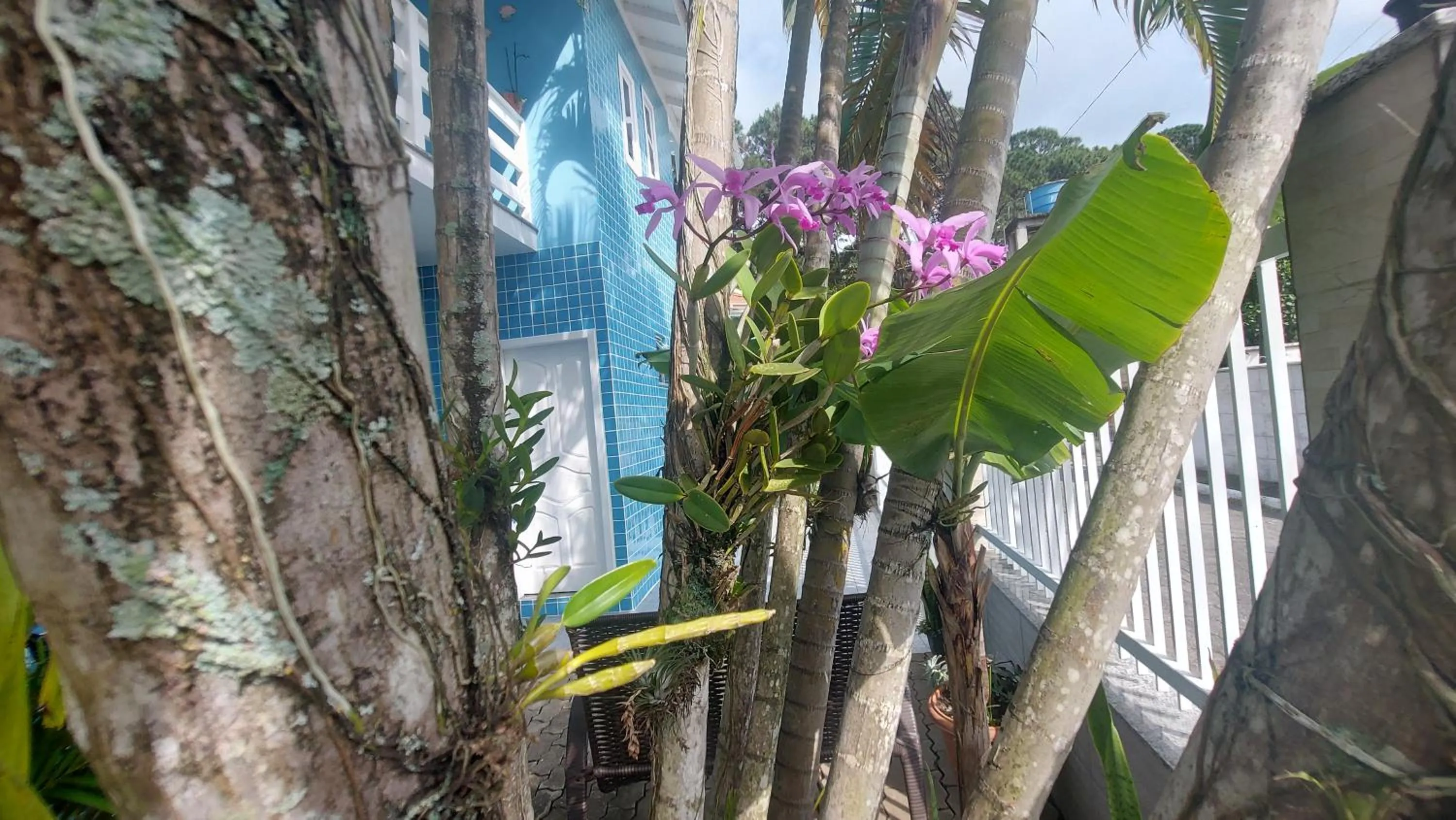 Pousada Estrela Guia