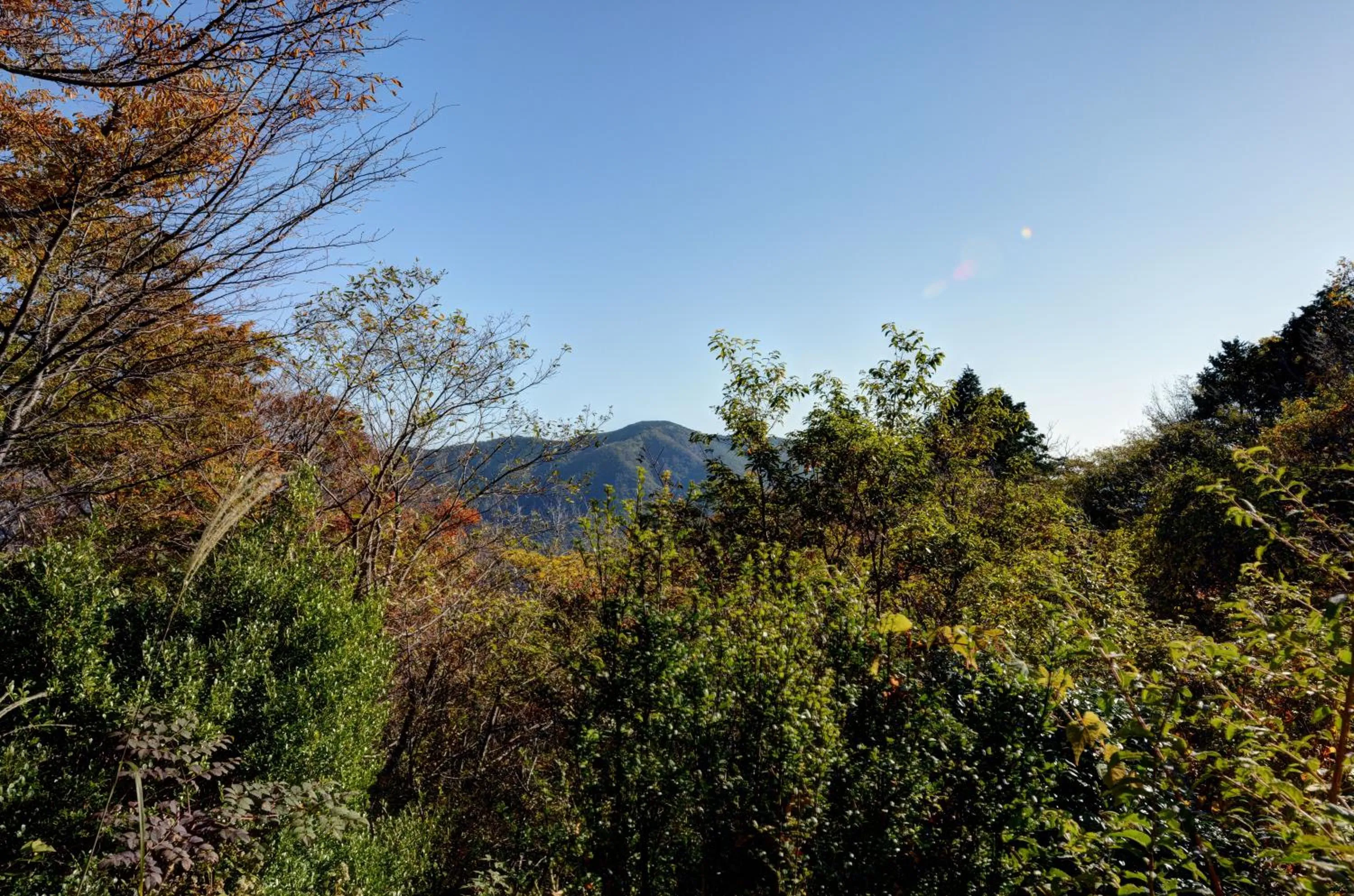 Seasons in Mizu no Kaori